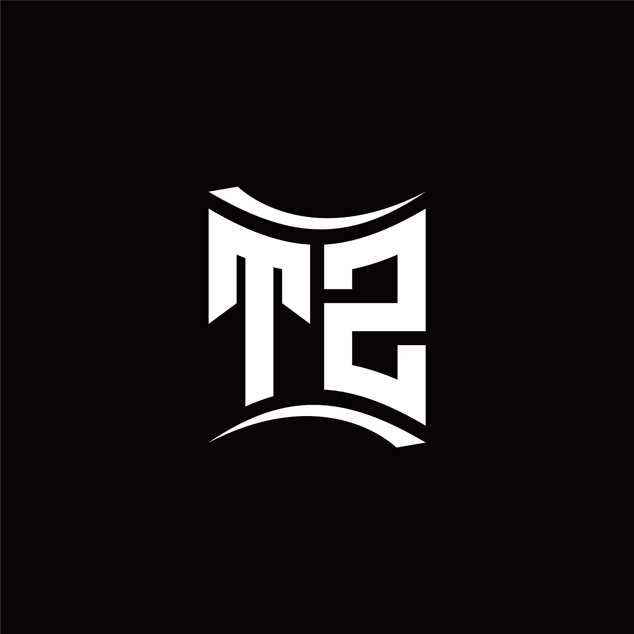 t z initial letter logo design modern template