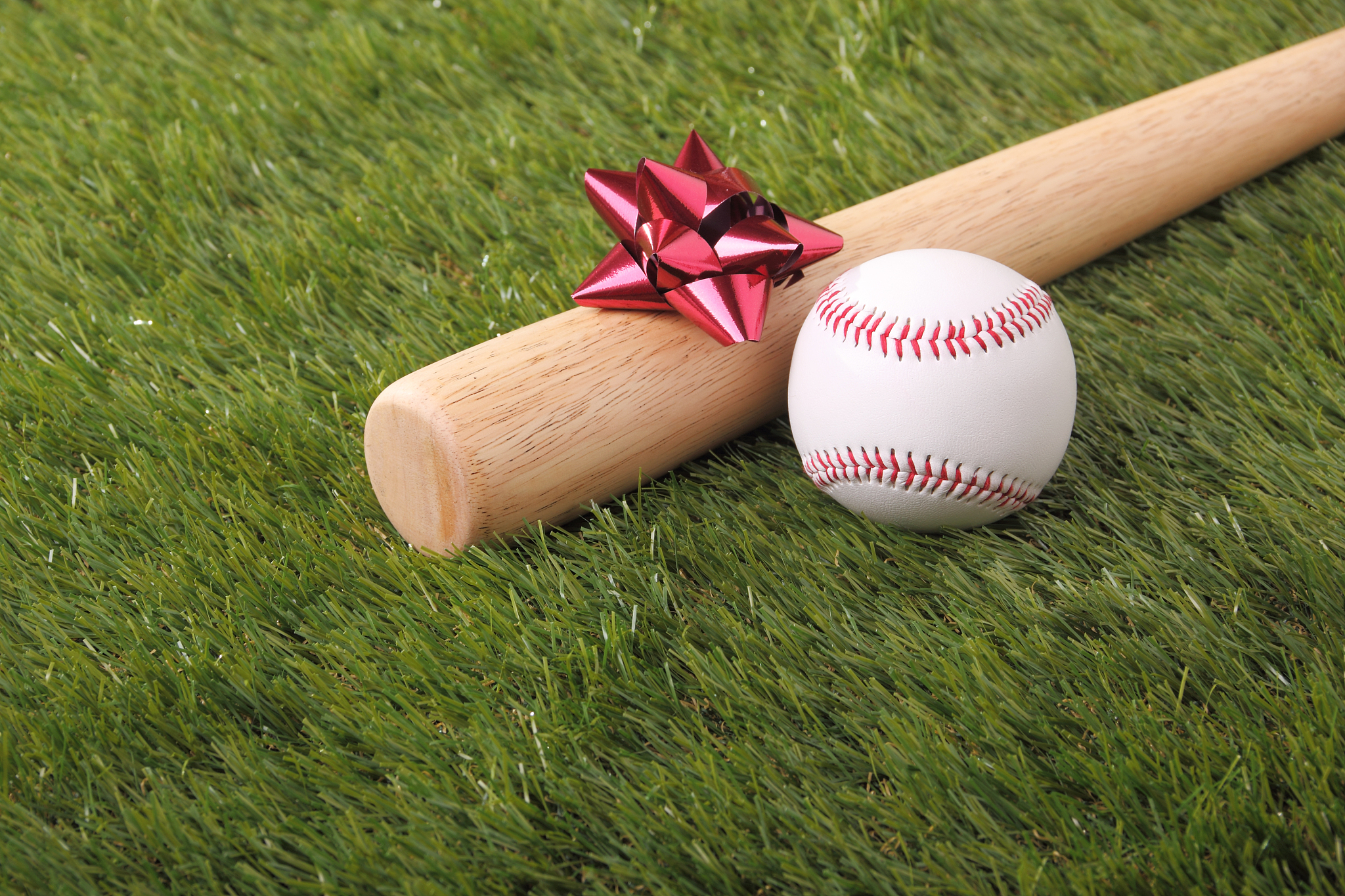 gift for baseball fan