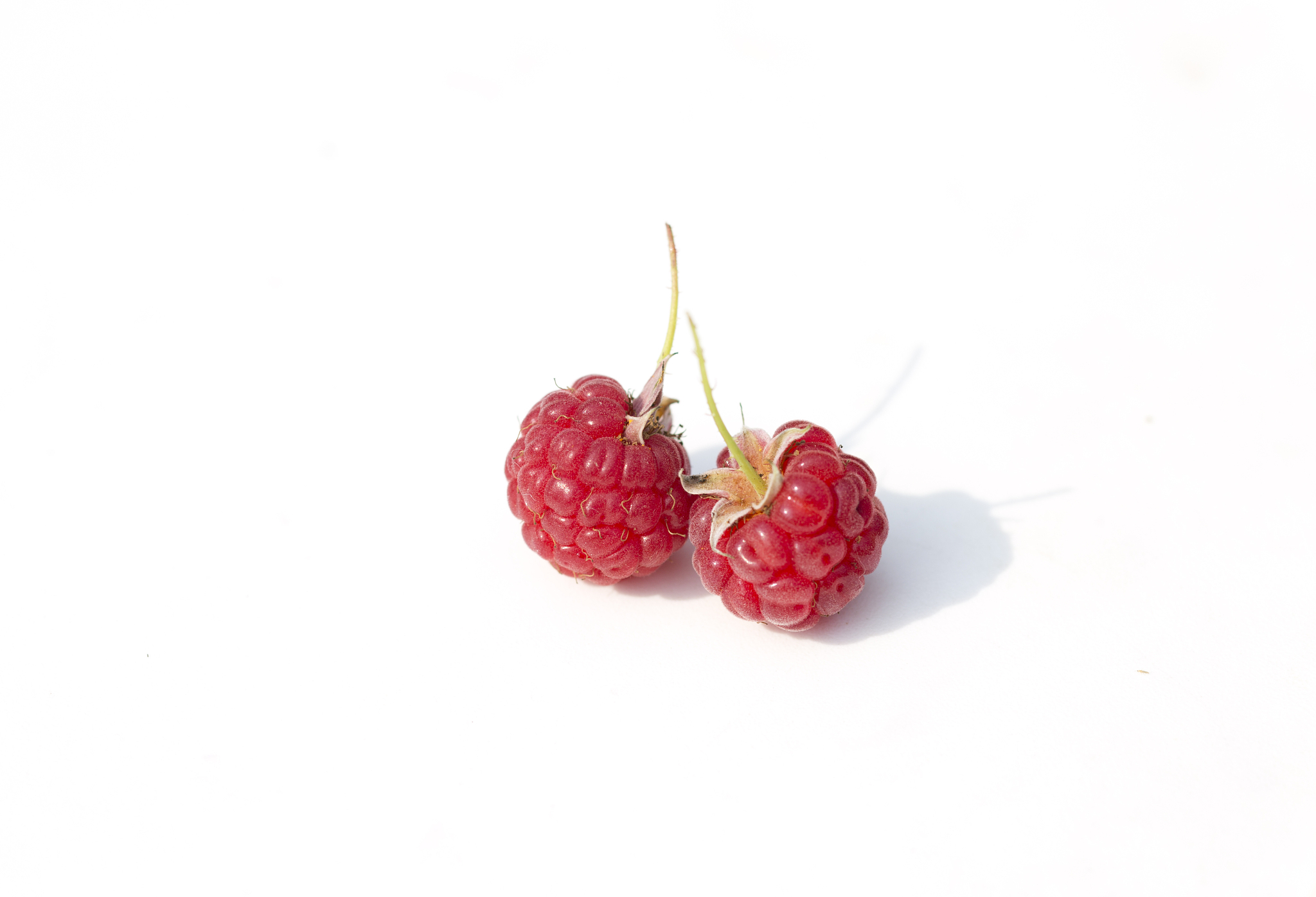 raspberry