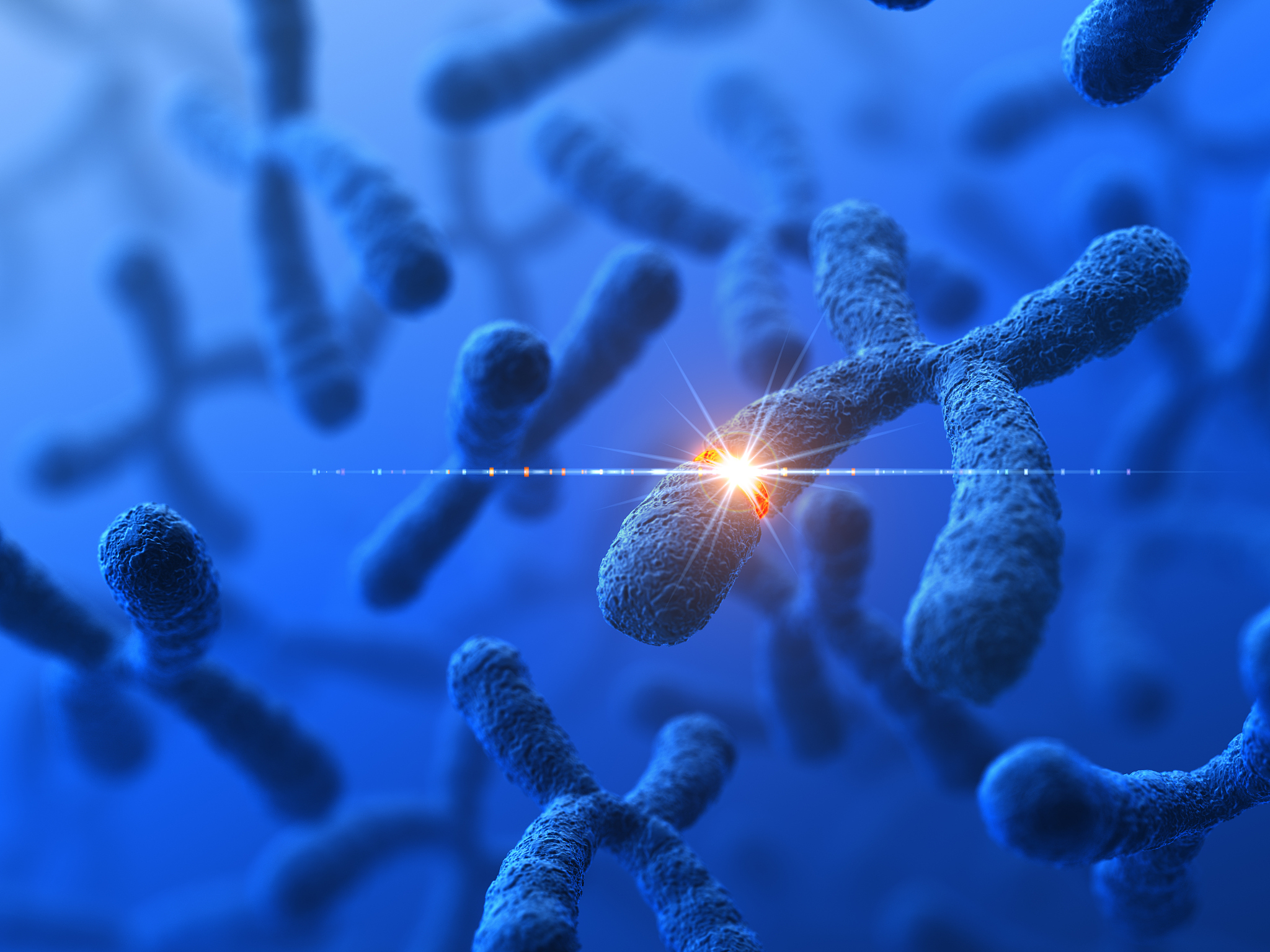 细胞内信息传递：生物大分子间的复杂网络