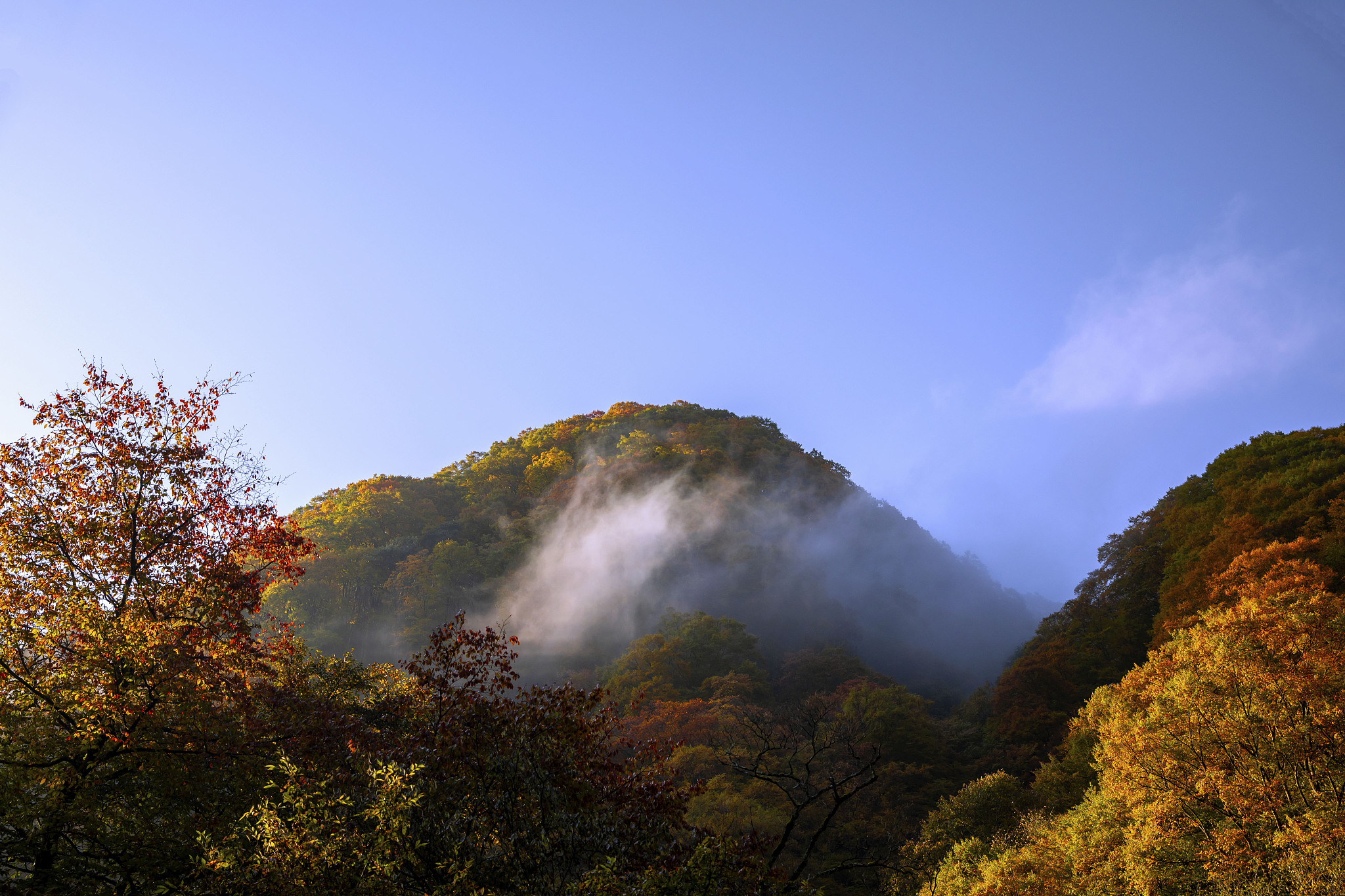 巴中汽修学校汽车改装技术专业2019年招生简介