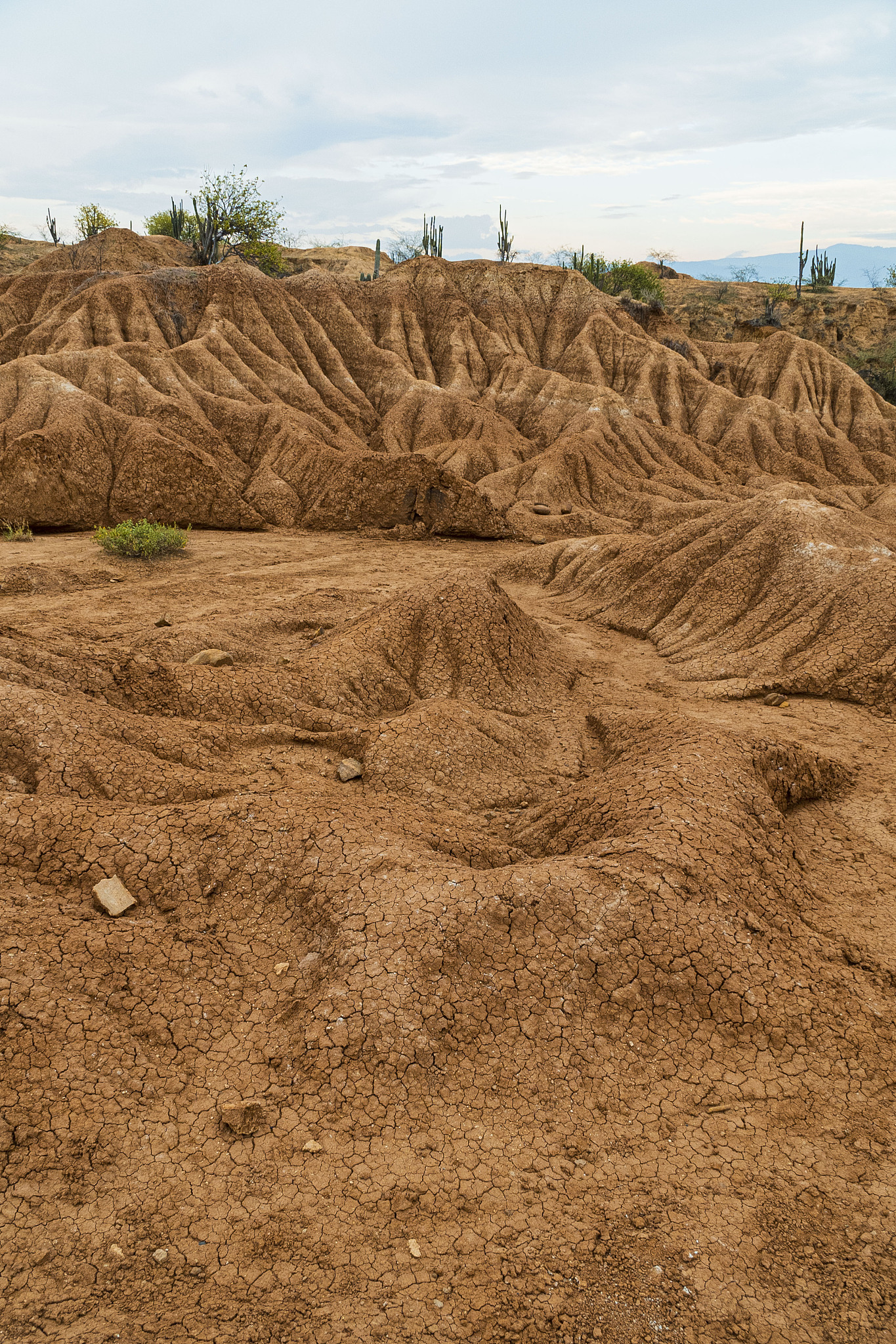 la tatacoa desert near the city of neiva