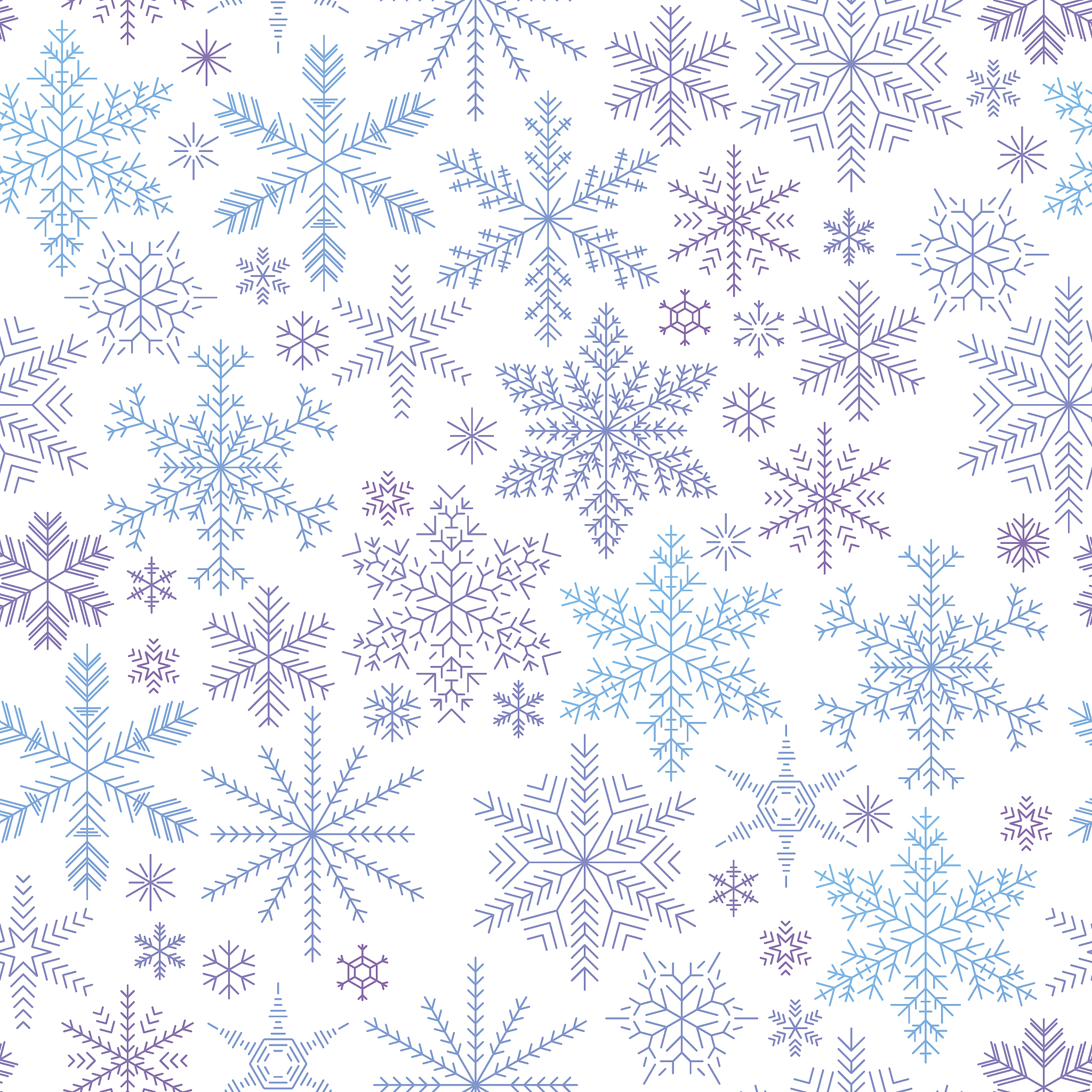 阜阳技师学院计算机平面设计专业怎么样？