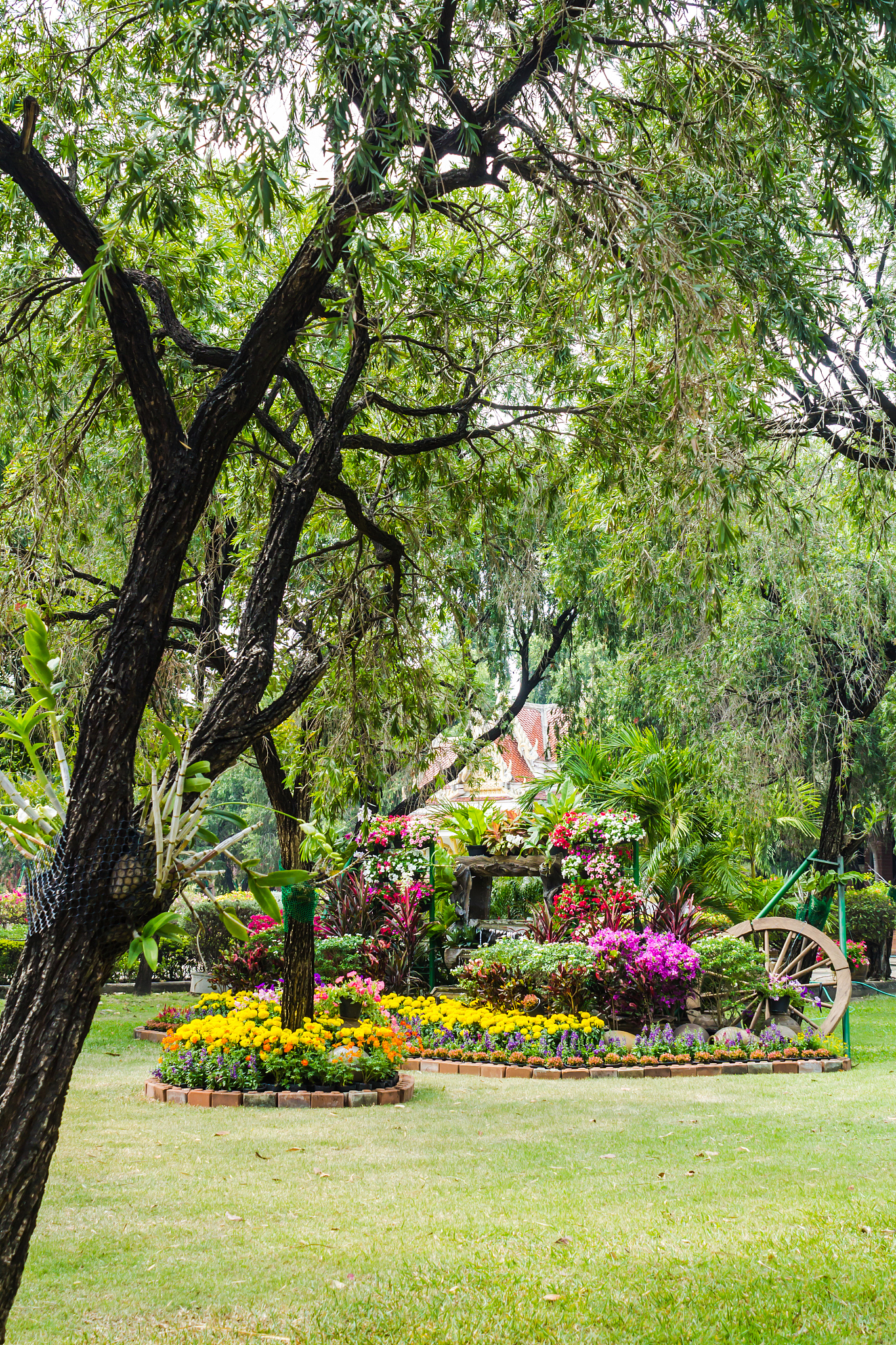 参观植物园的意义