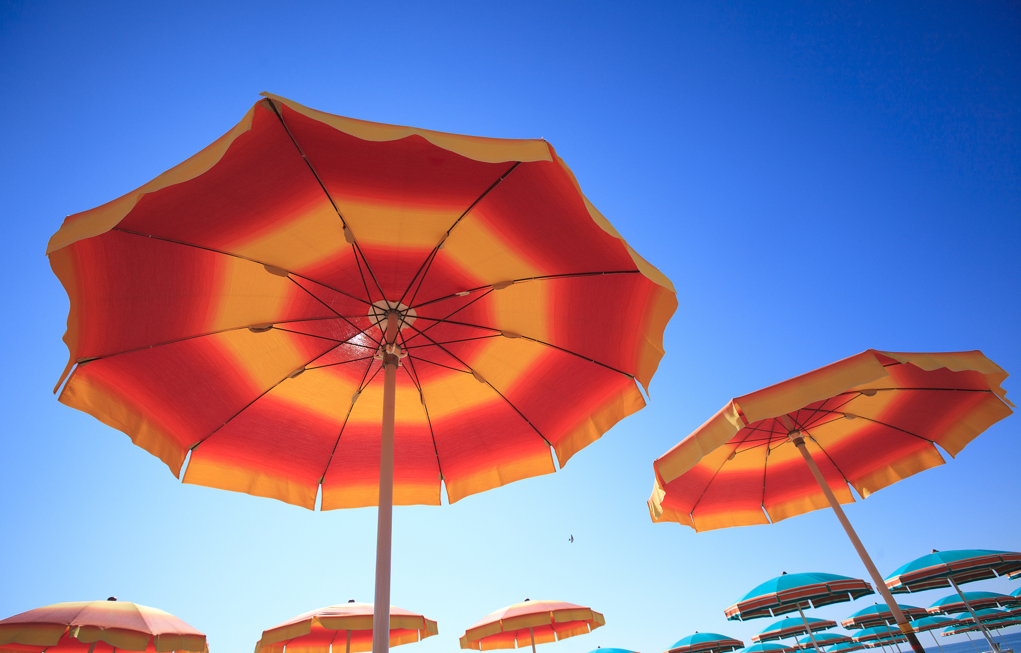 orange beach umbrella