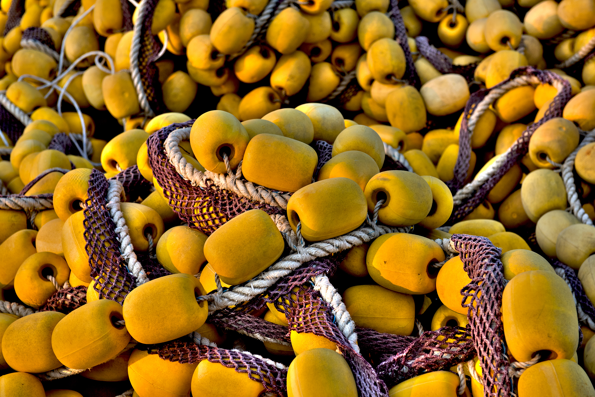 表观 K d 1 mM什么意思