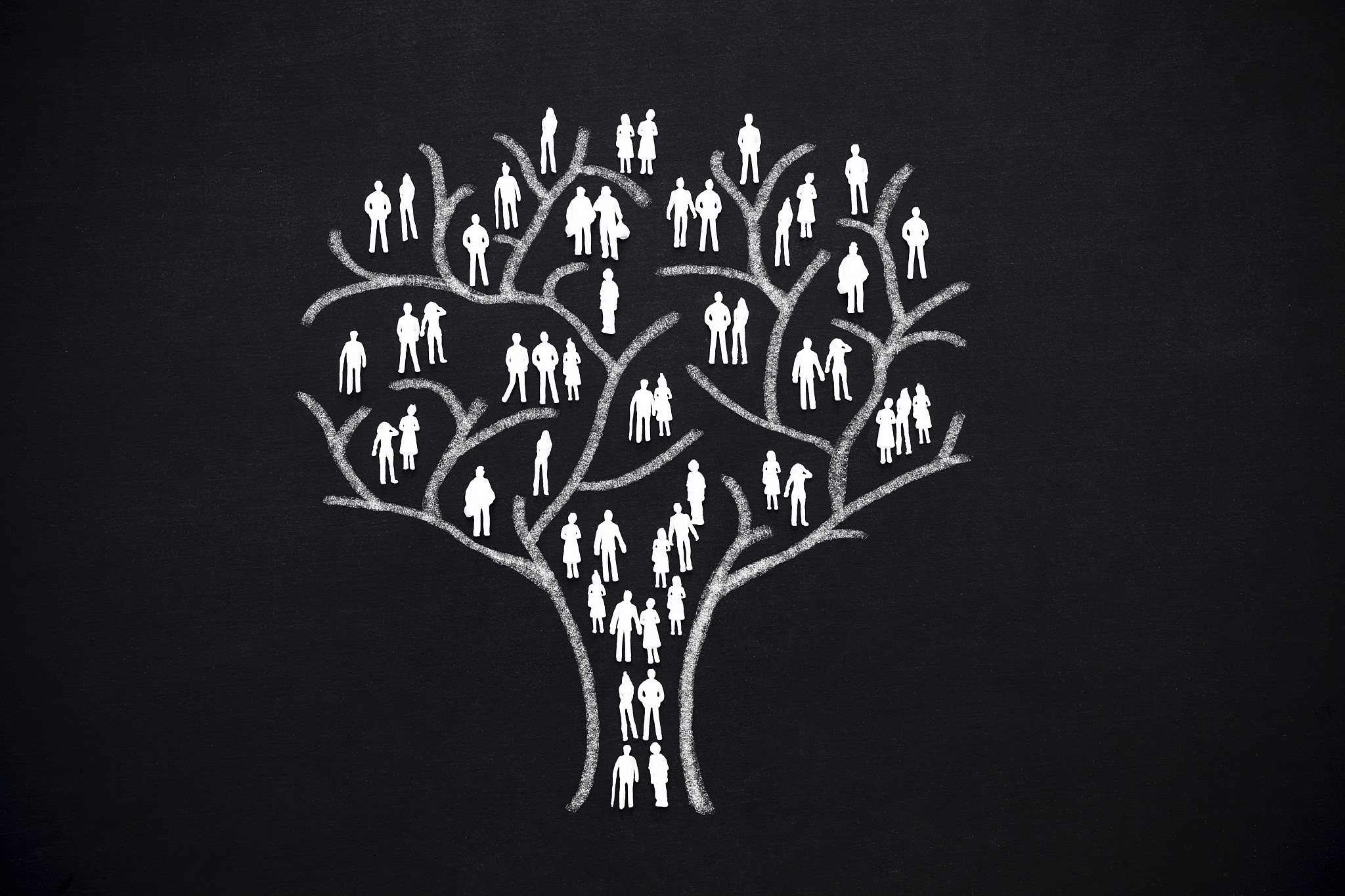 human tree