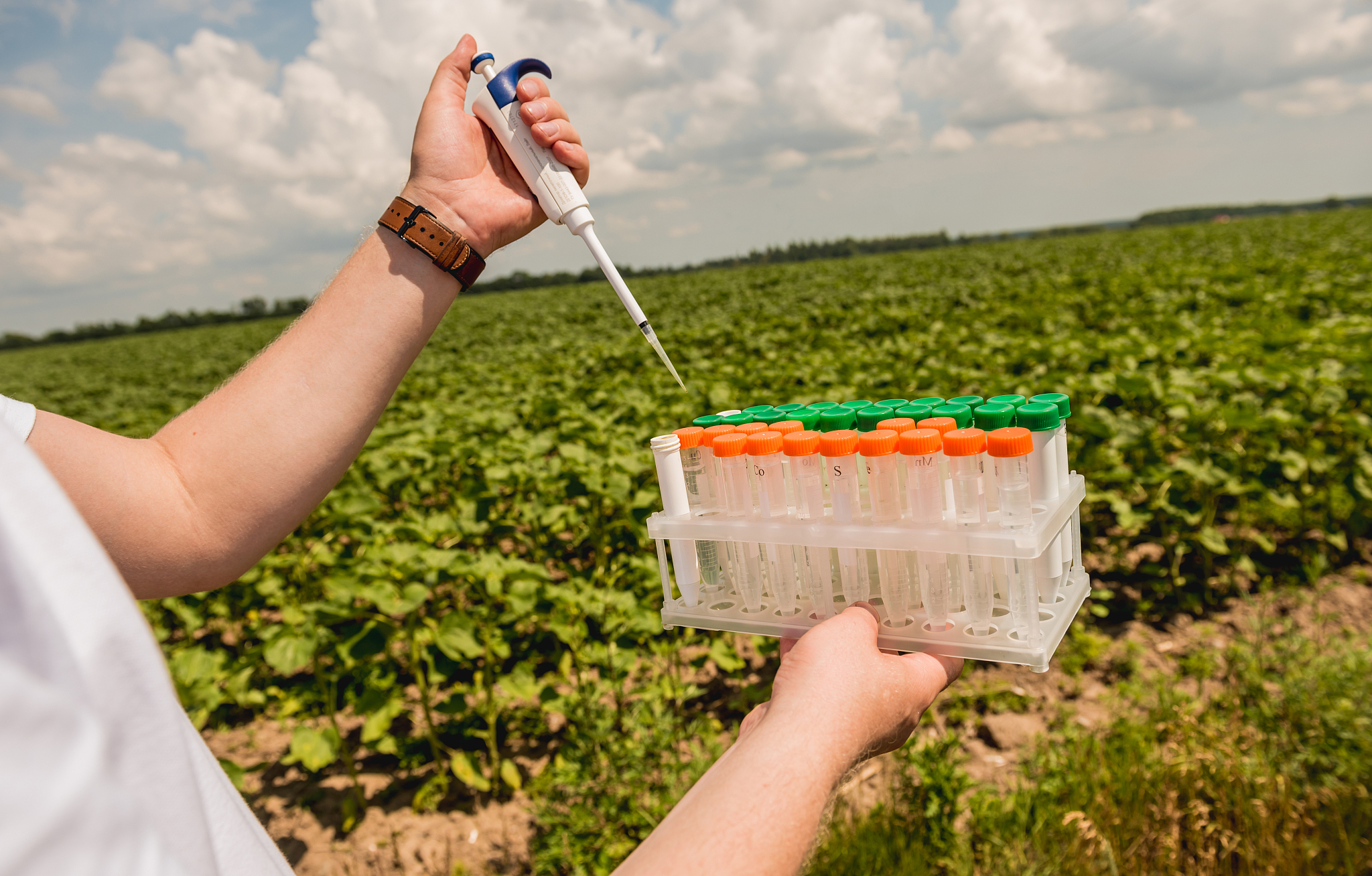 辽宁农业职业技术学院2022年有什么专业？