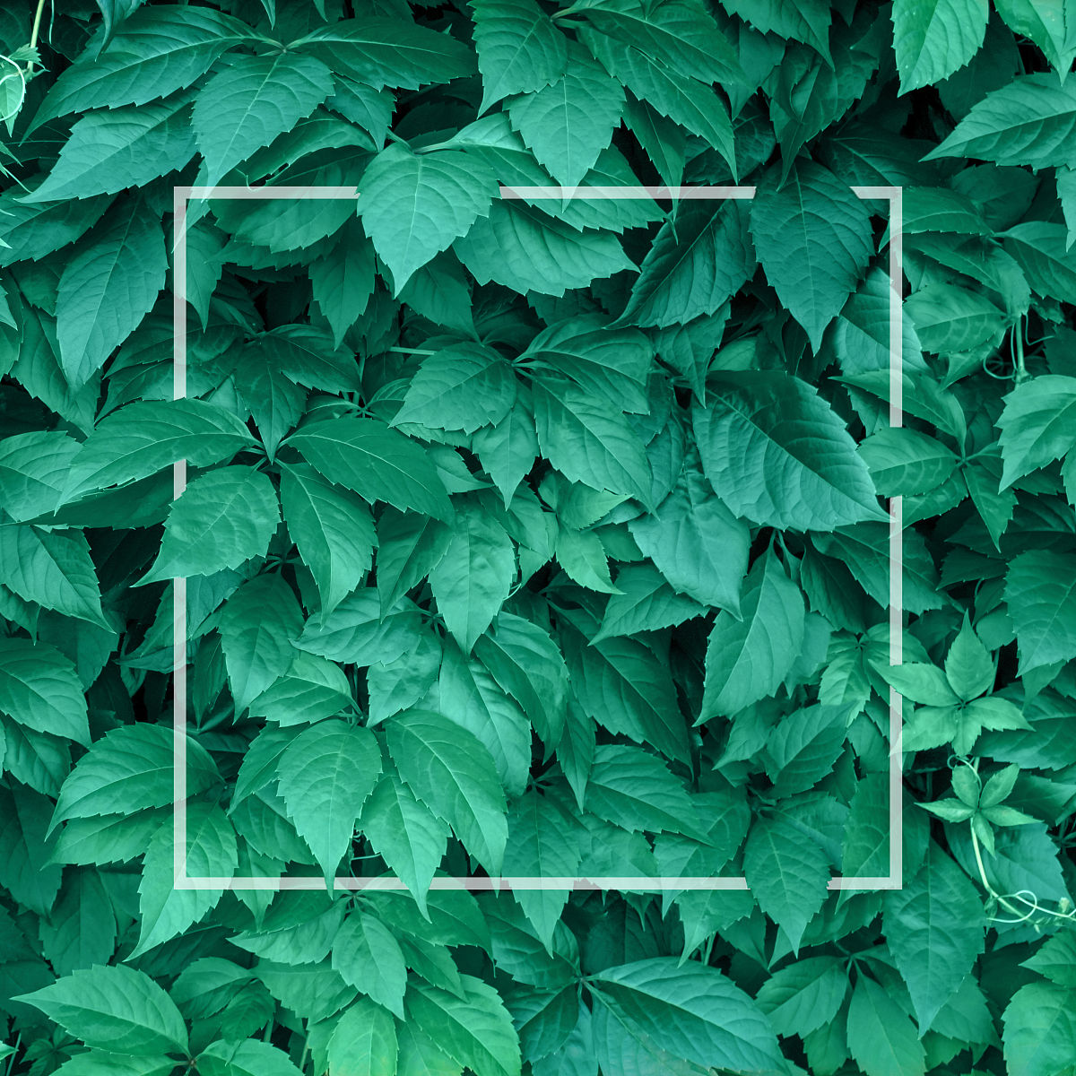 用哲学的术语解释“科技异化”（300字）