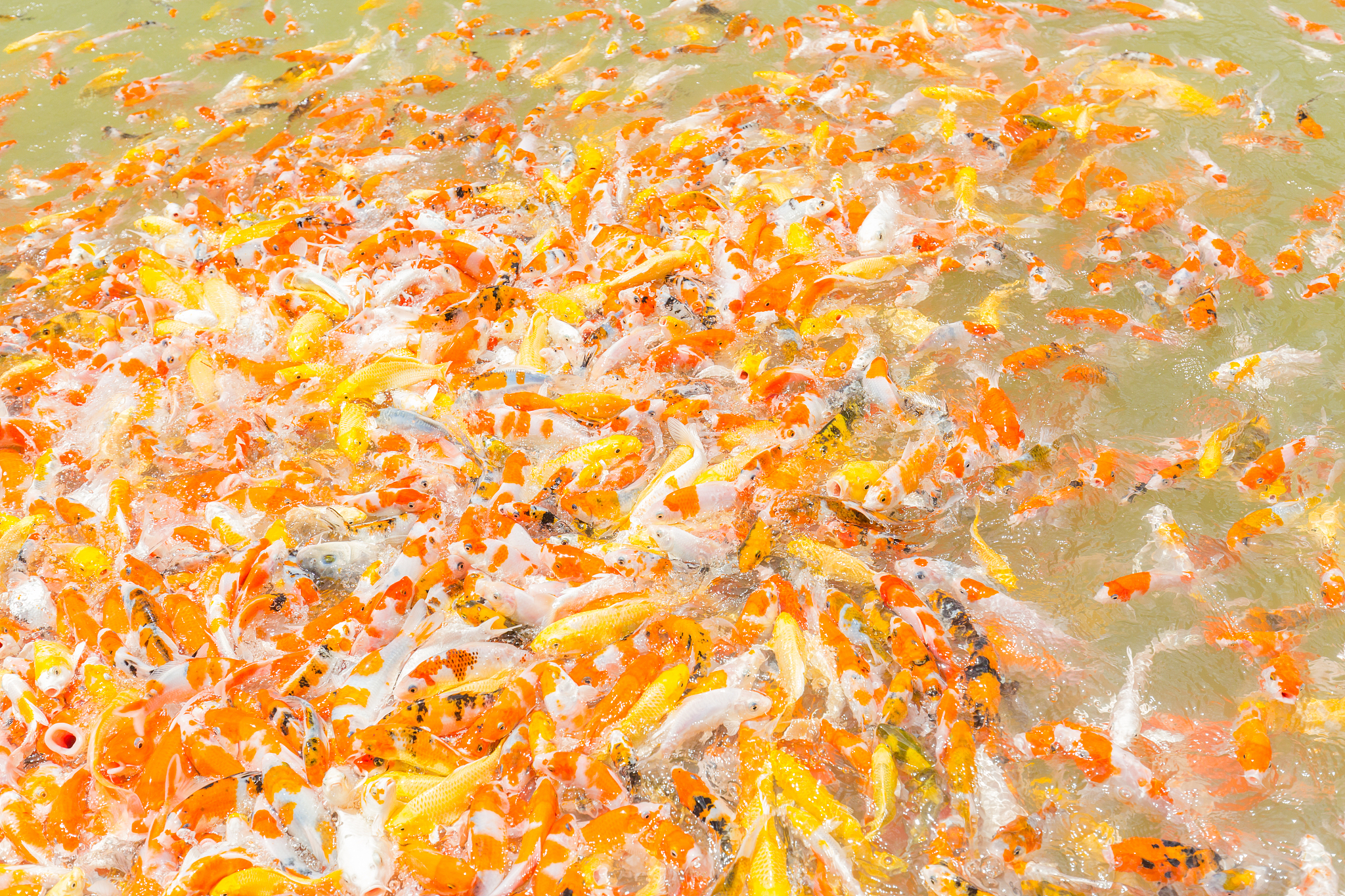 Photoshop 去除大横幅教程 - 简单步骤