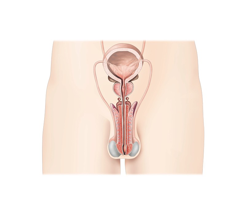 龟头敏感怎么办