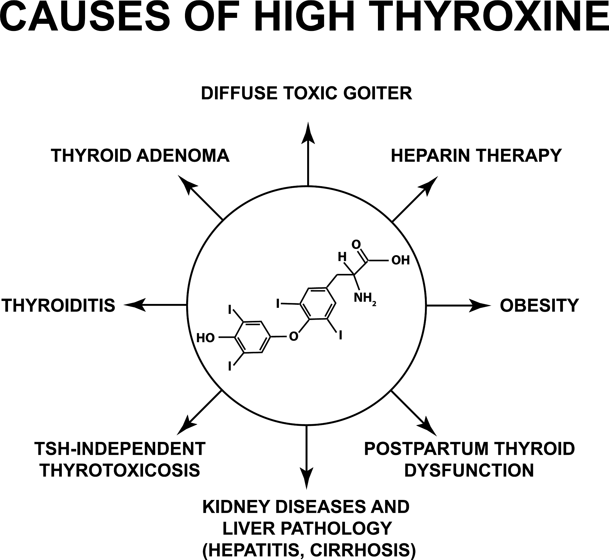 quanto custa uma vaca adulta no Brasil