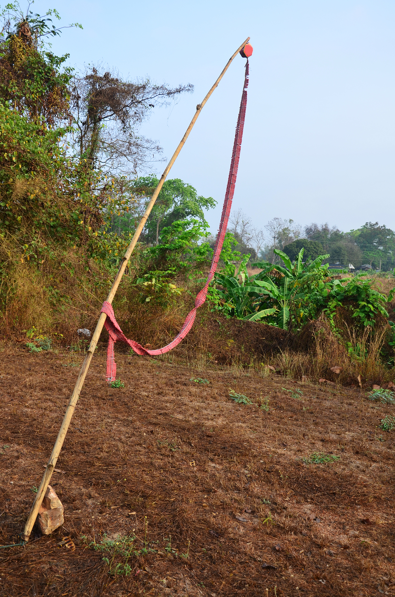 Design 5 short answer questions on Qingming festival