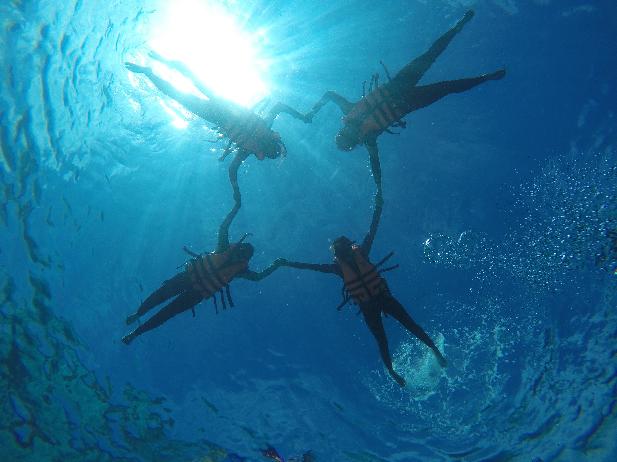 people swimming in sea