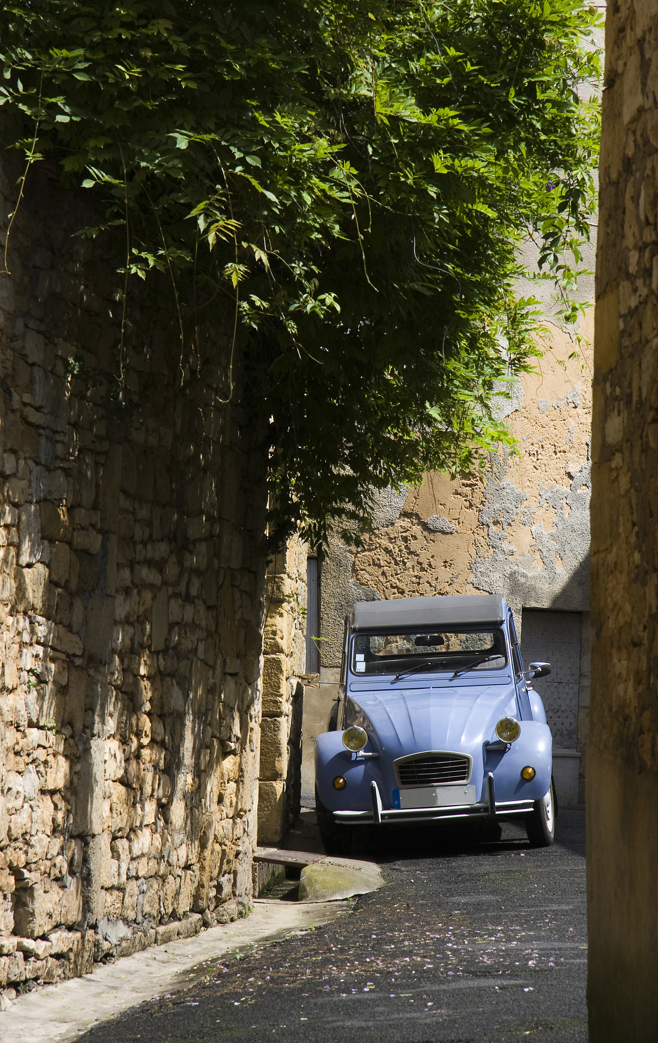 blue french car