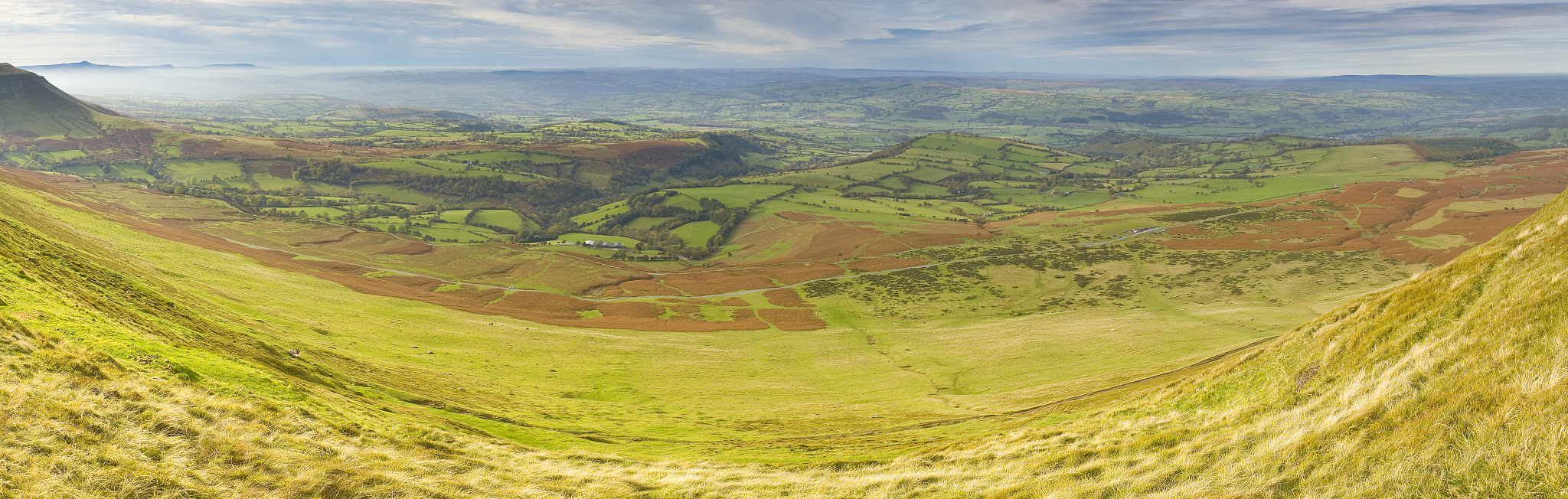 grasslands and pasture