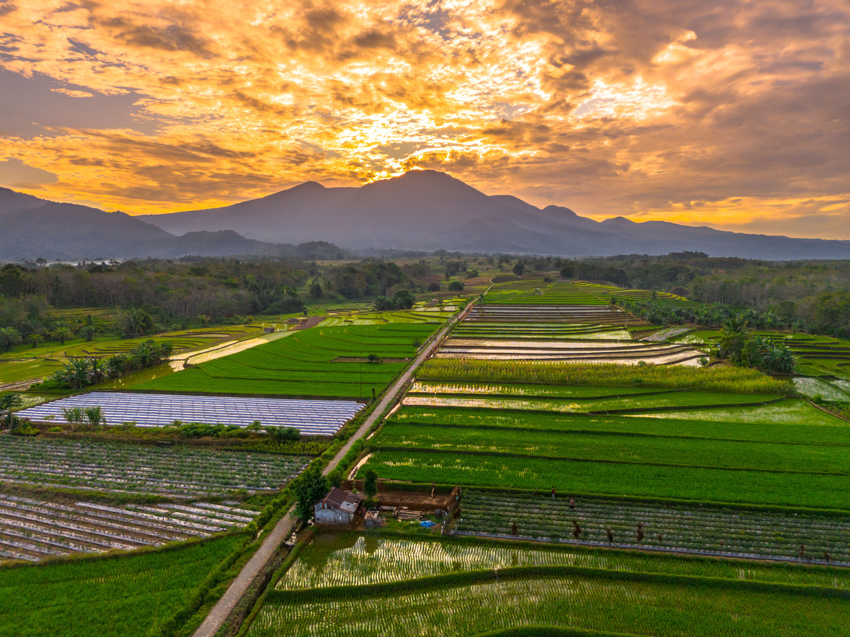 人类的农业活动和自然景观的演变 2000字