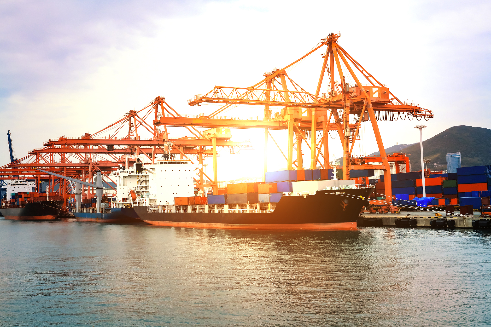 四川省金堂县职业高级中学物流服务与管理专业都学些什么