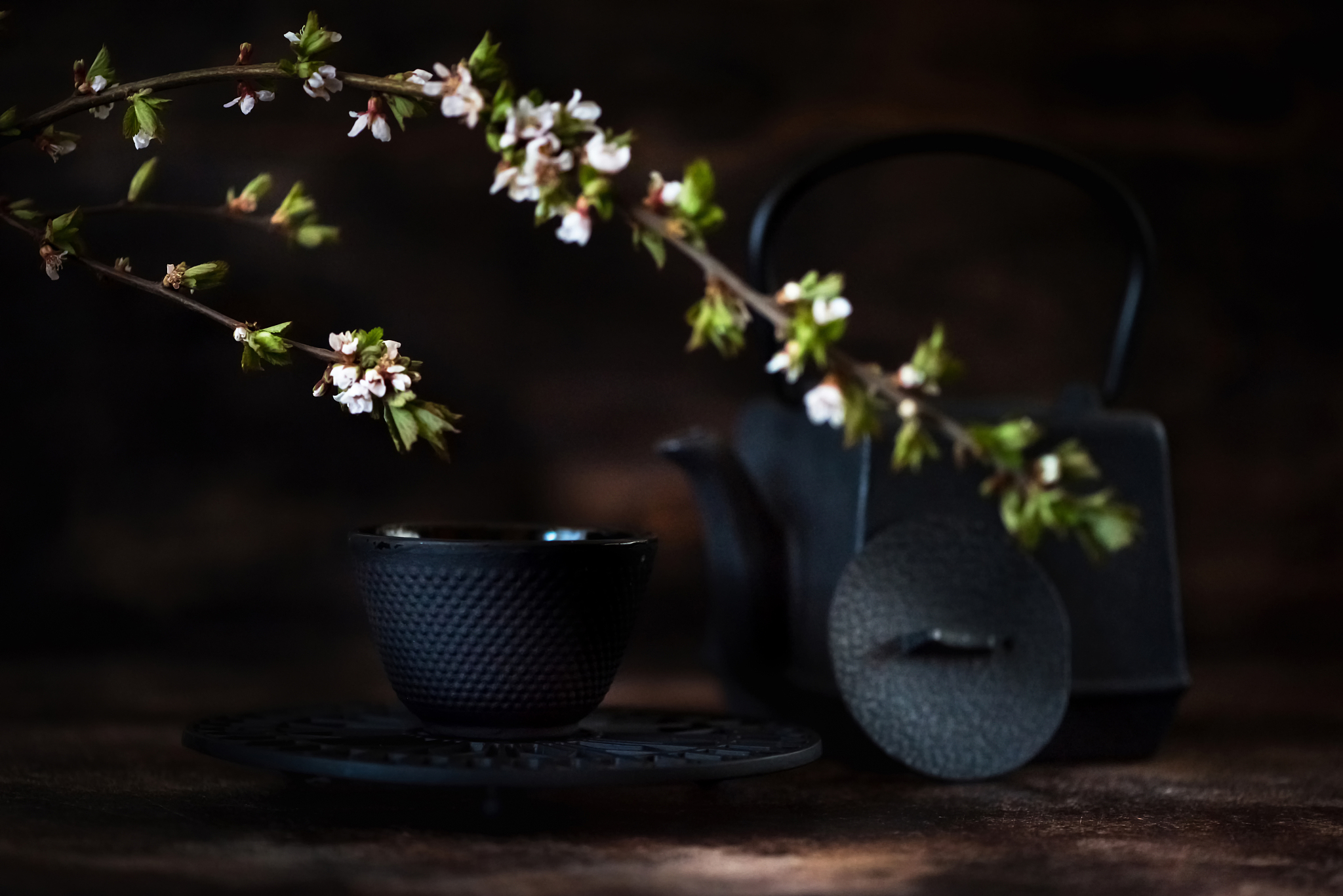 cast-iron tea set and blooming cherry blossoms