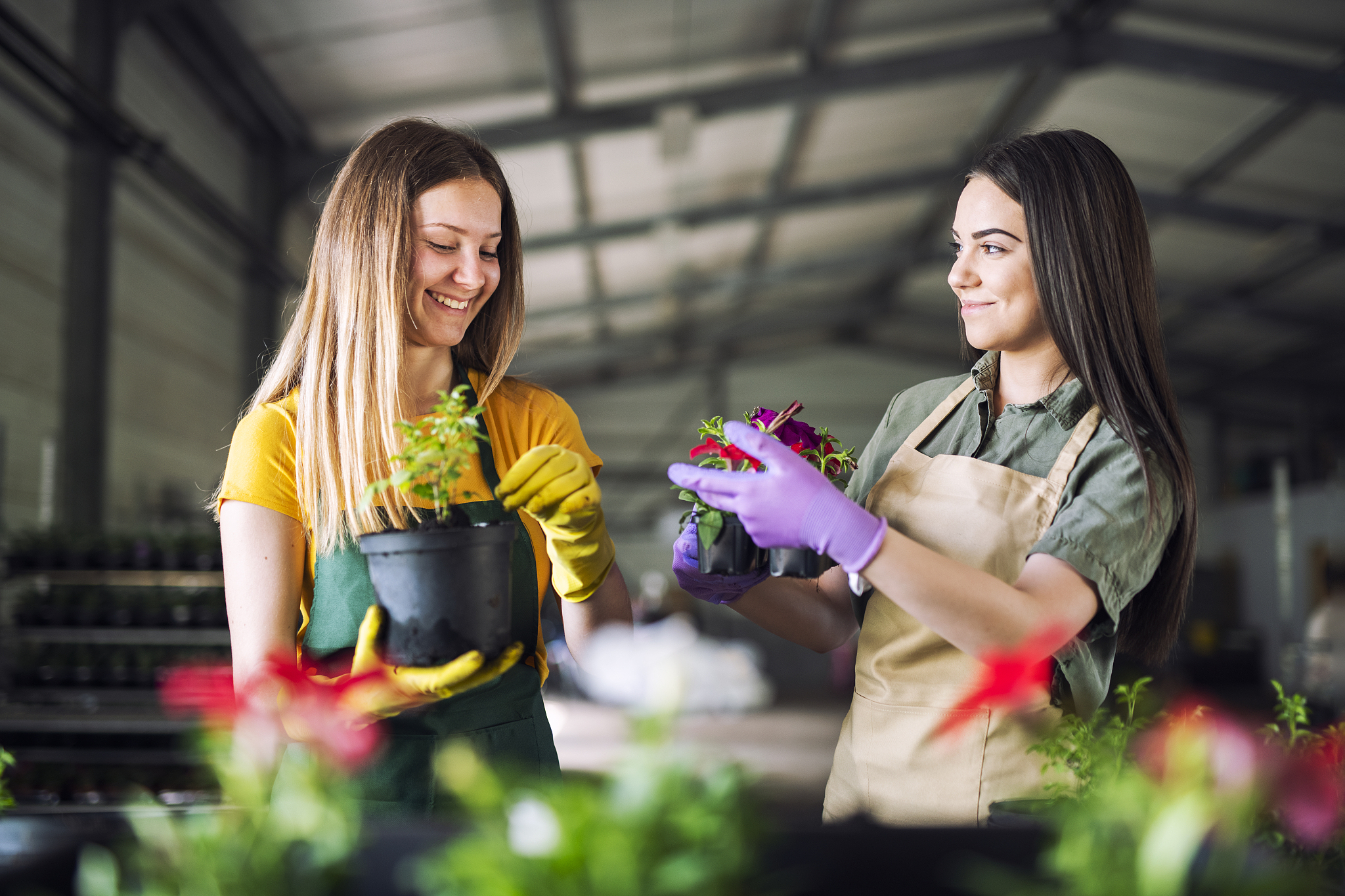 young women planting flowers in greenhouse.