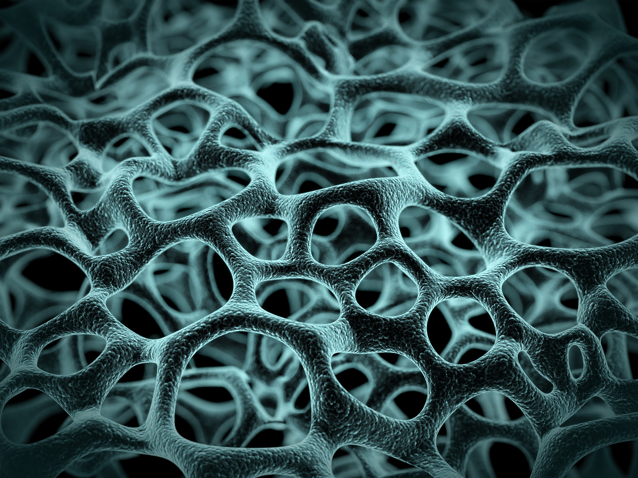 生物可降解材料在组织工程中的应用