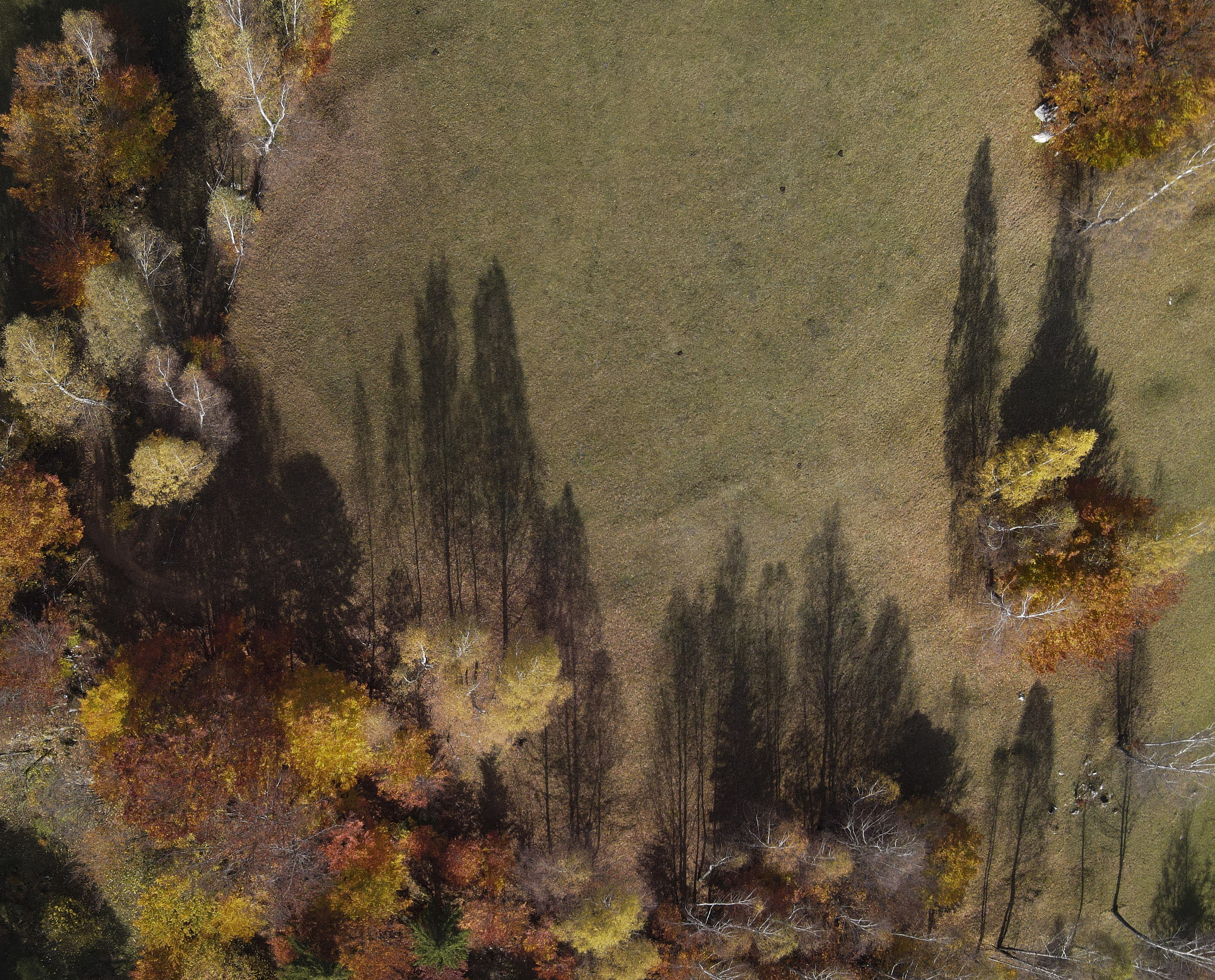 autumn landscape from above in pestera county, romania