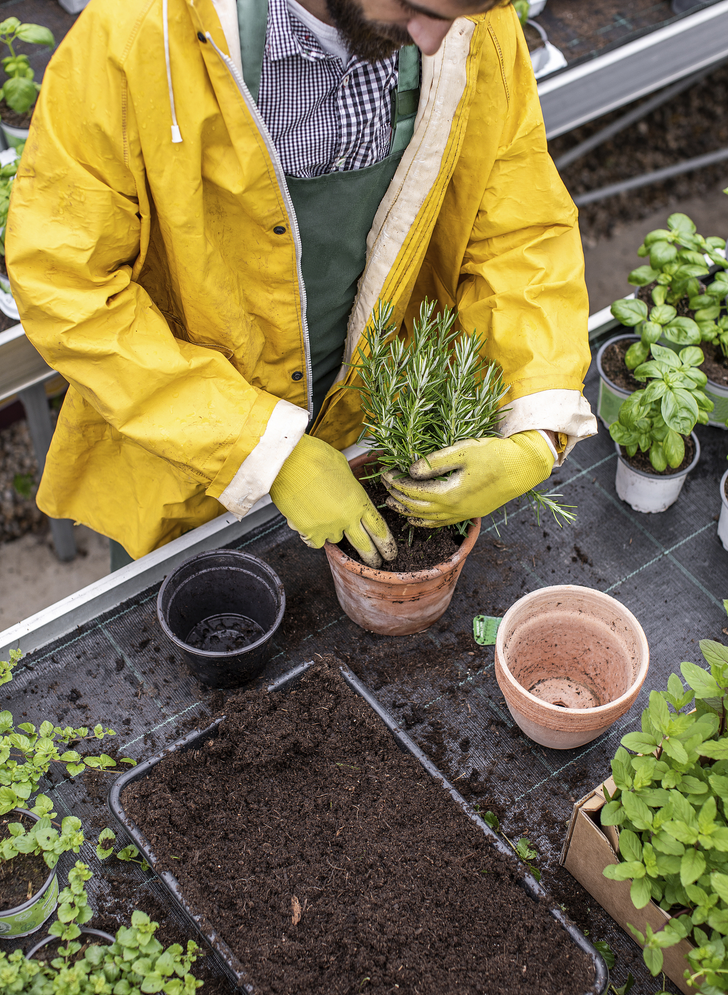 昆明农业职业学院2019年五年一贯制大专招生咨询