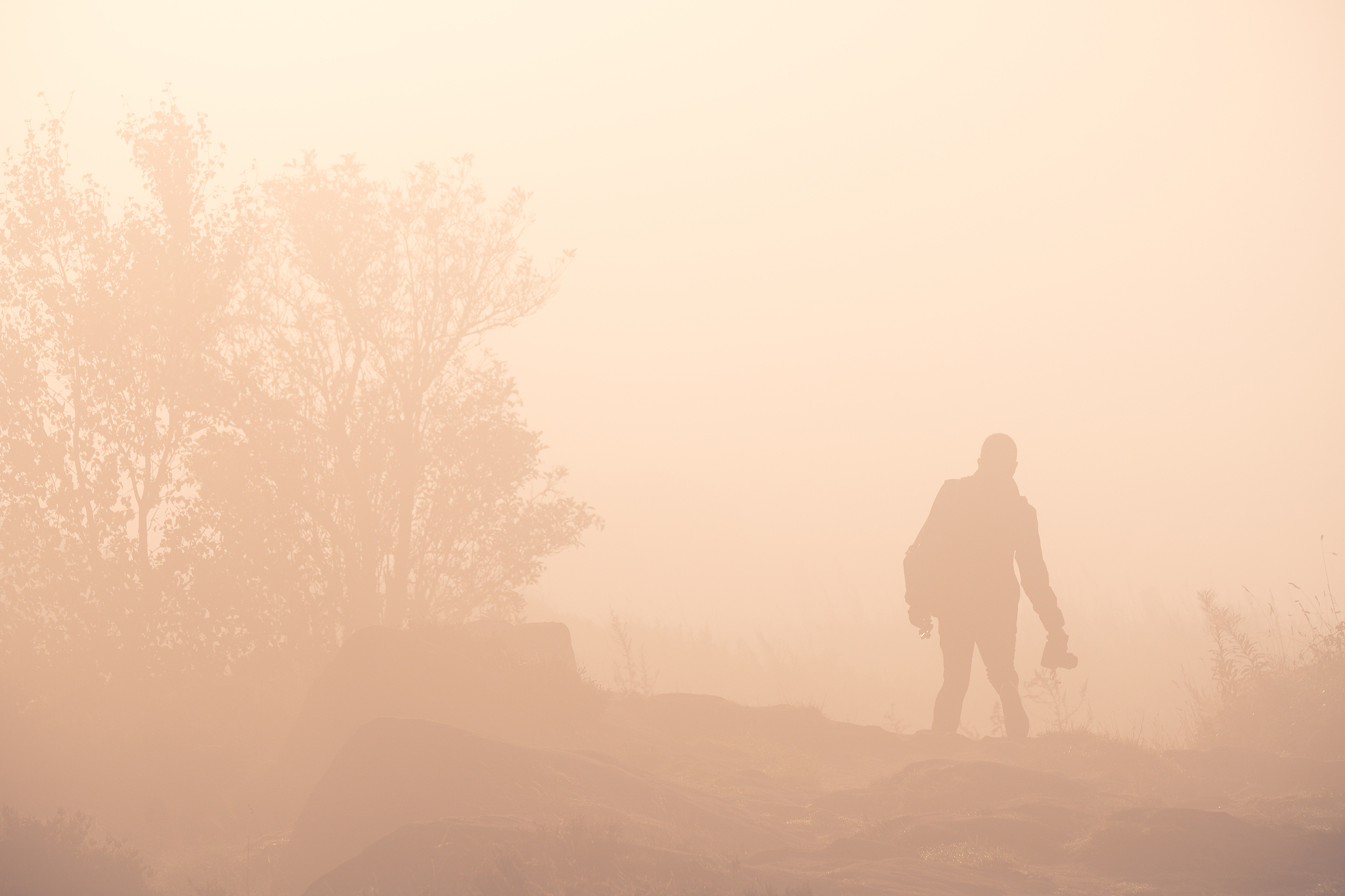 an early start
