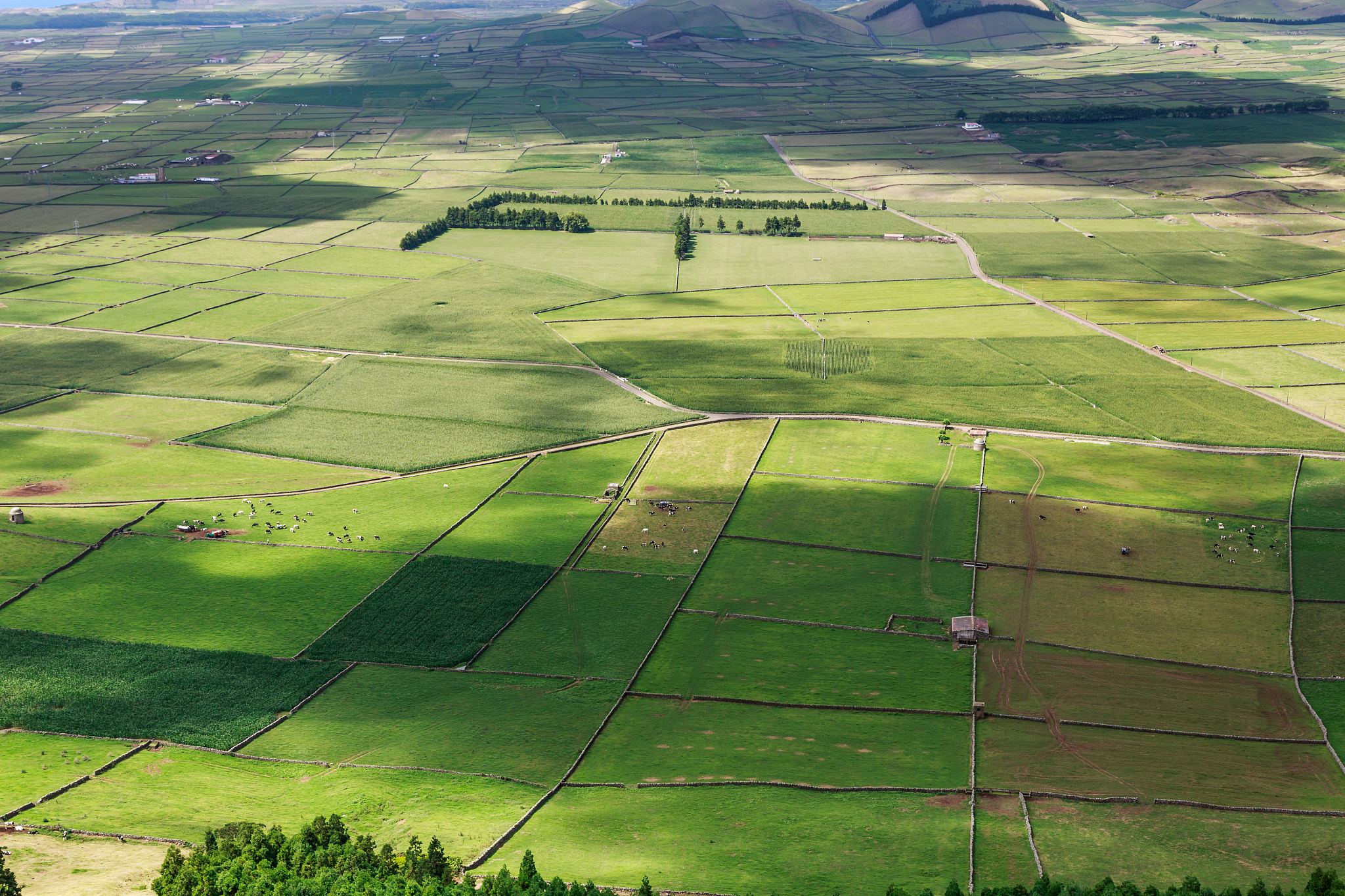 aerial view of agricultural field