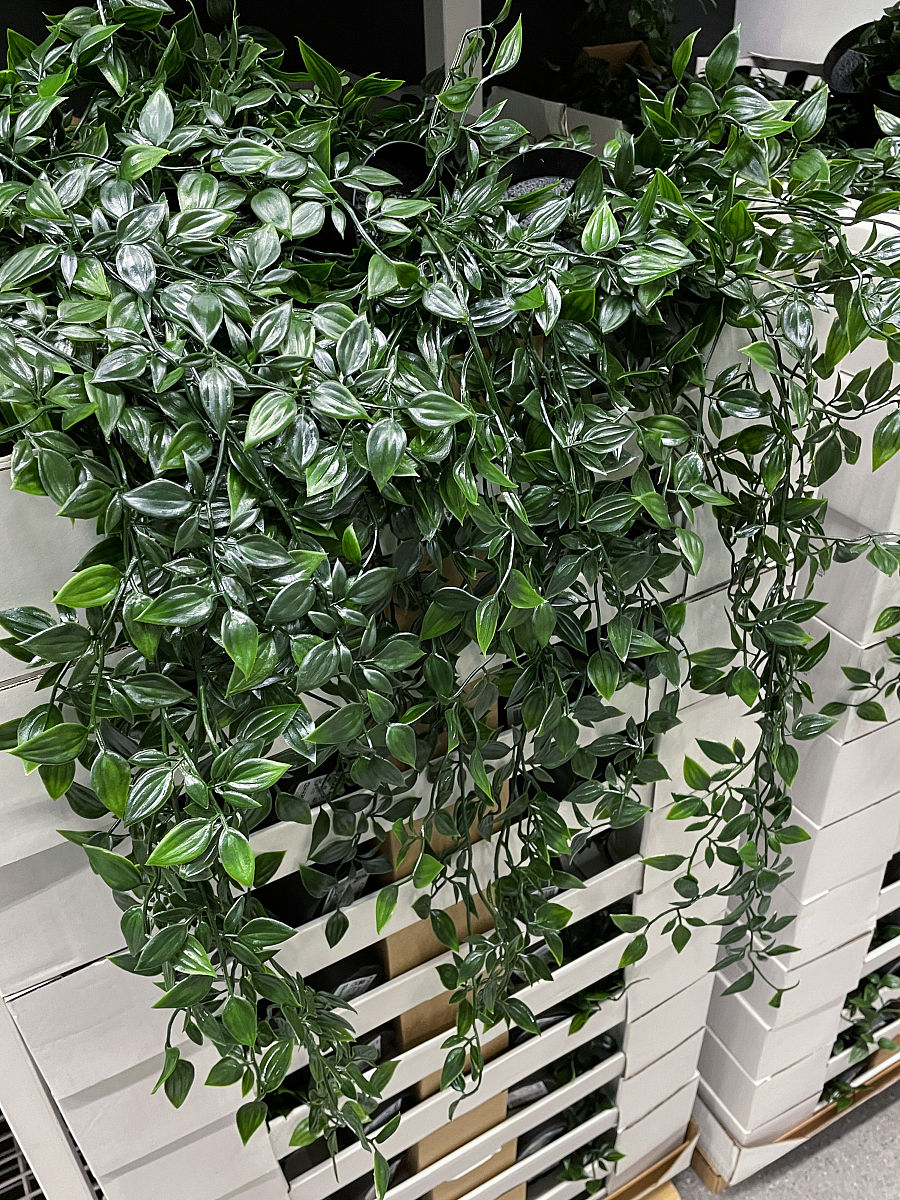 如何看待人工美女和人工帅哥以及身边整过形的同学或亲戚朋友你是支持还是反对他们整形原因是什么300字-600字如果我的对象整过容我会怎么面对他我有什么想法如果在交往过程中我的对象想去整容我会有什么态度什么看法支持还是反对400字-700字如果不收任何条件制约的情况下我会整容吗如果想整我会整哪个部位我认为自已有什么缺陷吗如果不想整请洋细举例说明不想的原因不想整的部位的优点是什么整形的缺点是什么600-