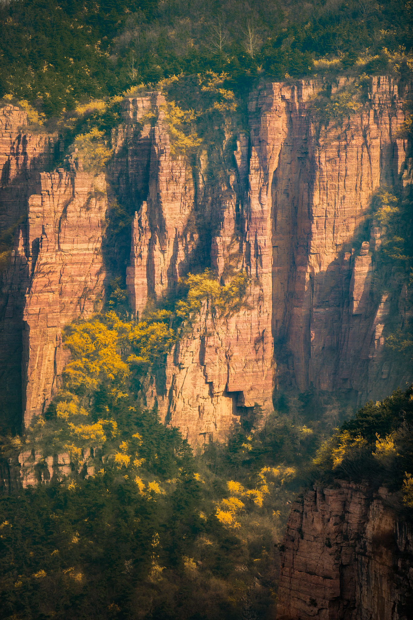 修仙小说秘境奇遇：13个出人意料的事件，让你脑洞大开！