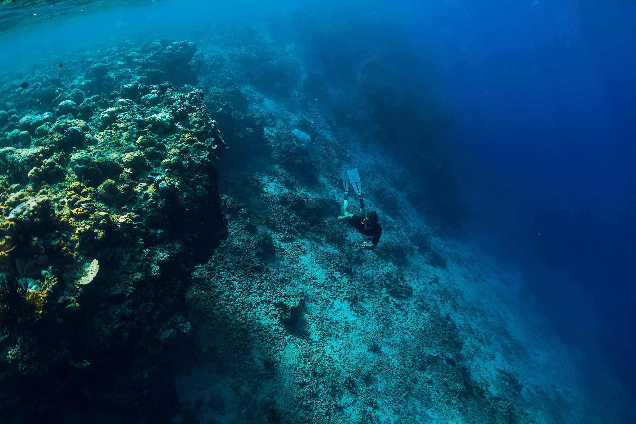 free diver dive in deep ocean, underwater view with rocks and co