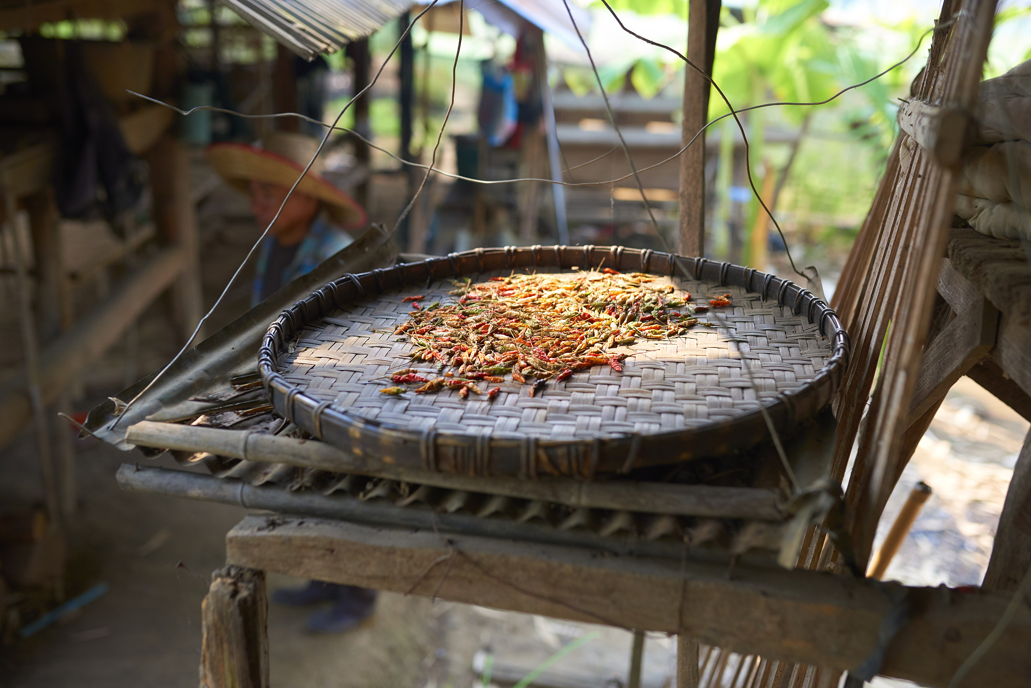 火炕法制作干豆角的过程