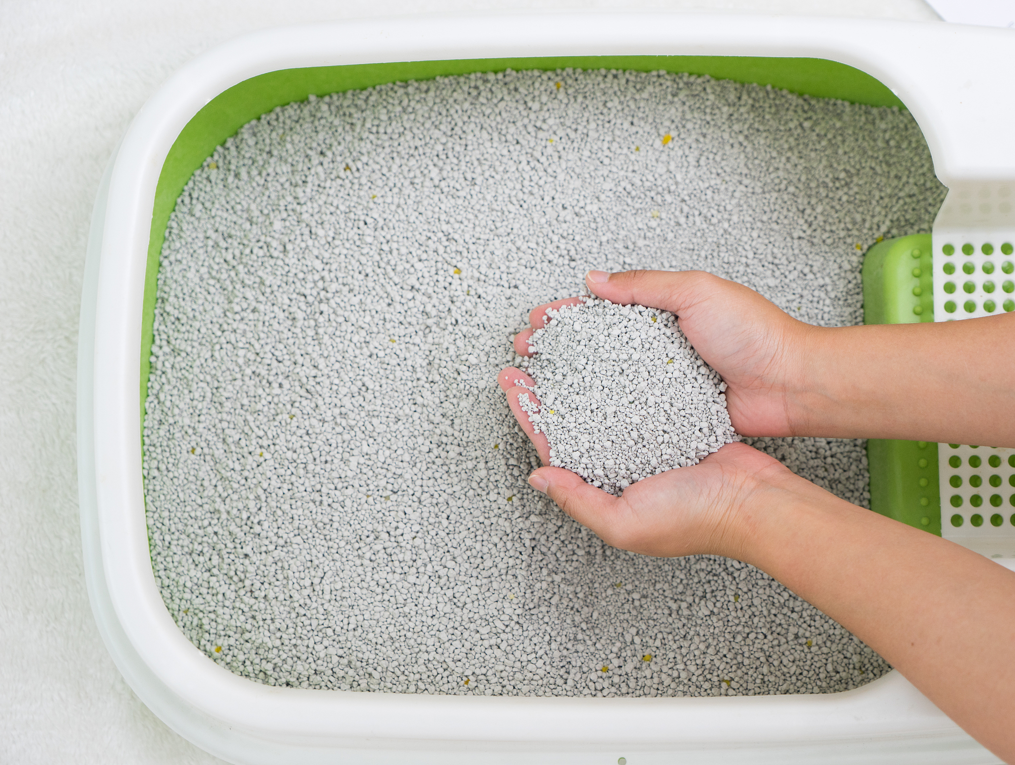 一名老师请对棉花秸秆制作猫砂的意义、技术水平、适用范围及推广前景作出您的评价