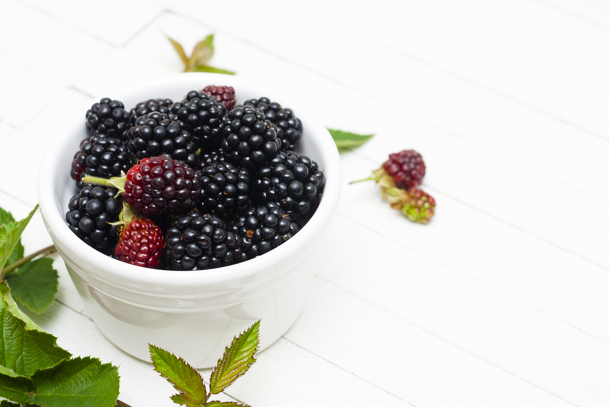 黑莓和桑葚是一种水果吗