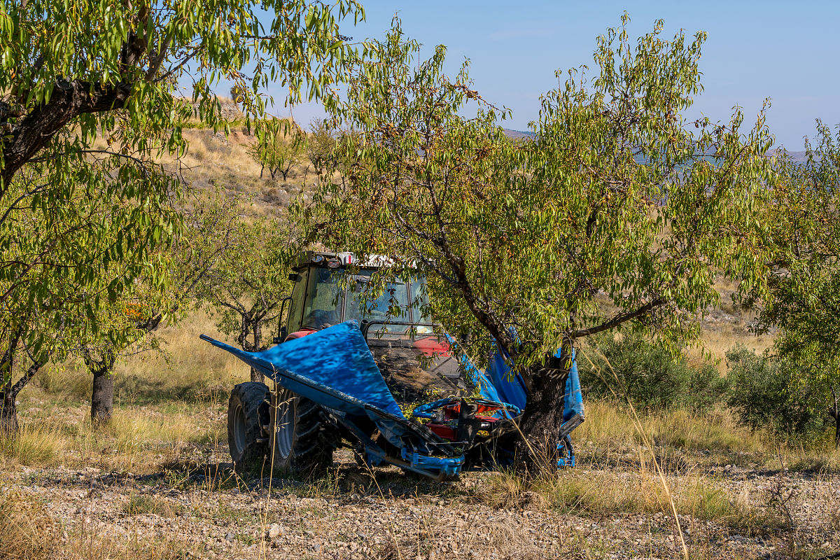 重庆市农业机械化学校农村电气技术专业怎么样