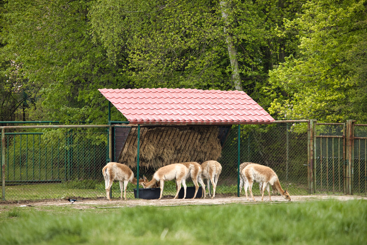 难忘的假日之旅 - 与家人共度美好时光