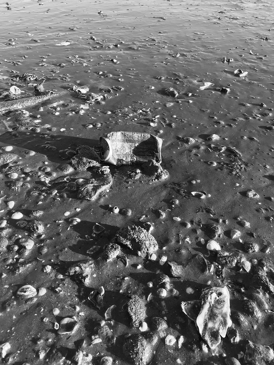 你是微信公众号编辑需将以下内容改写300字左右：日本政府8月22日上午召开相关阁僚会议决定从8月24日开始将福岛第一核电站的核污染水排入大海。根据计划福岛核污染水的排海至少要持续30年。无论是国际社会的呼声、外交层面的谴责还是本国国民的担忧与反对日本政府都置若罔闻这样一意孤行的后果却是由全人类来买单。邻国韩国民众已疯狂囤盐日本核污水排海对我们影响有多大？核污染水为什么要排海？2011年3月11日日