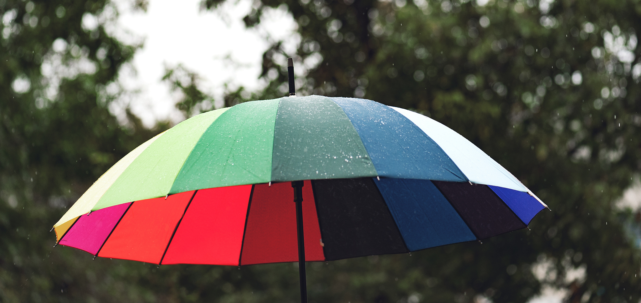 the panorama of umbrella in rainbow colors in rainy autumn day, 