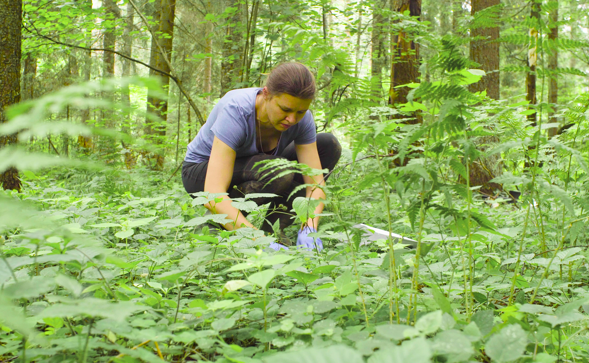 内蒙古大学生物科学类专业怎么样