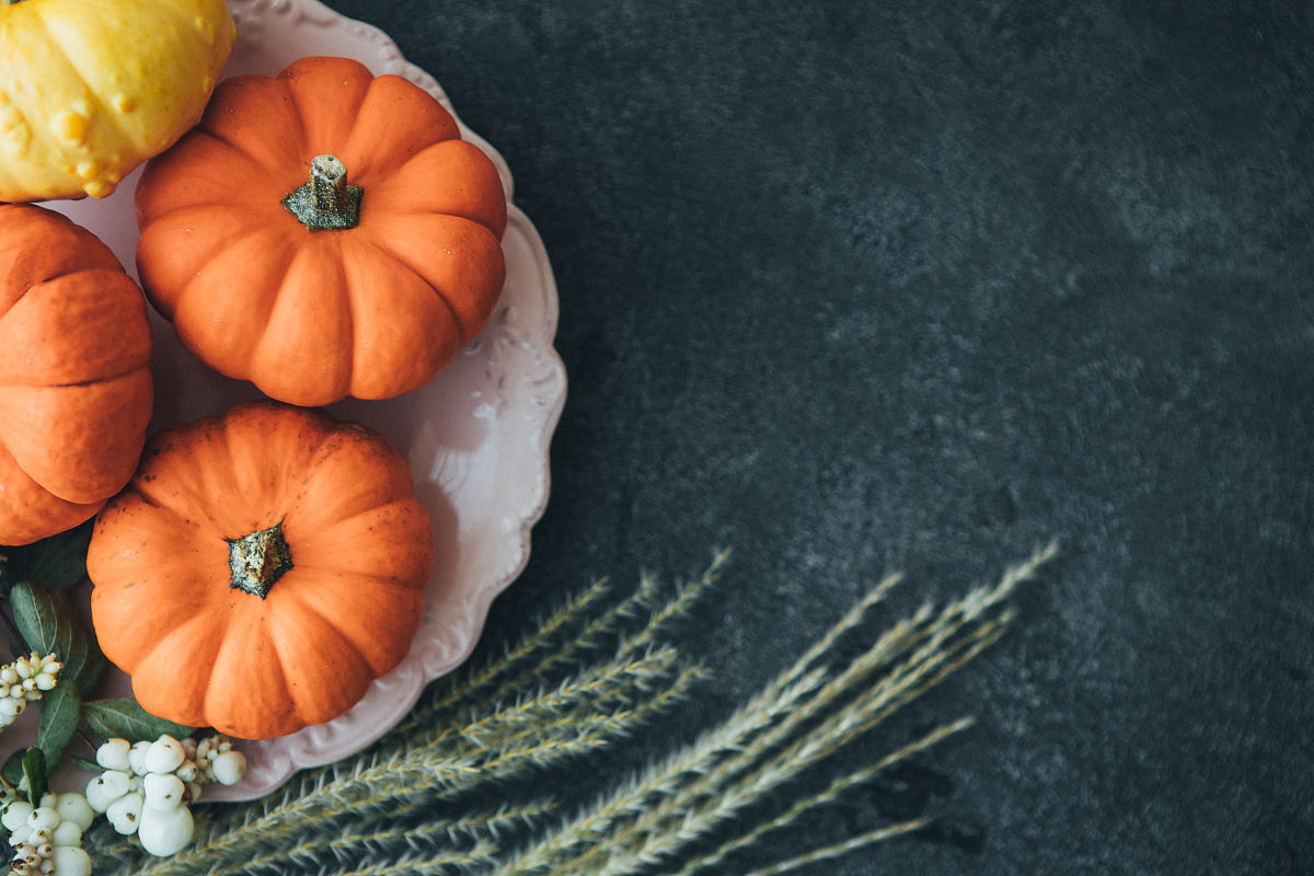 我家的绿萝 写一篇300字小学作文