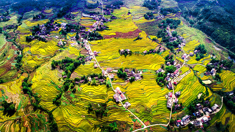 重庆卫生学校2019年招生情况分析：招生标准严格，教学质量优异