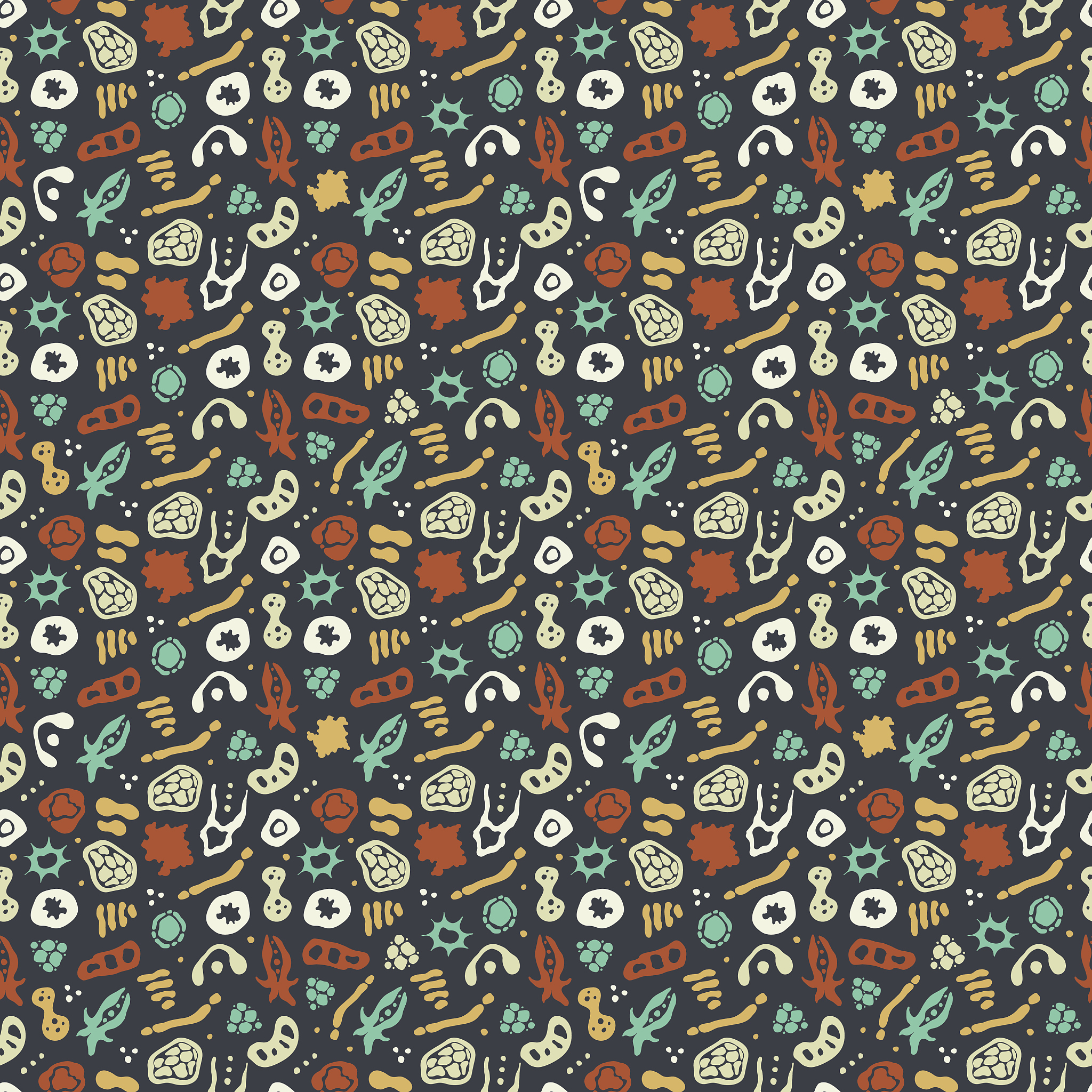 细菌划线接种：连续'Z'字形划线法详解