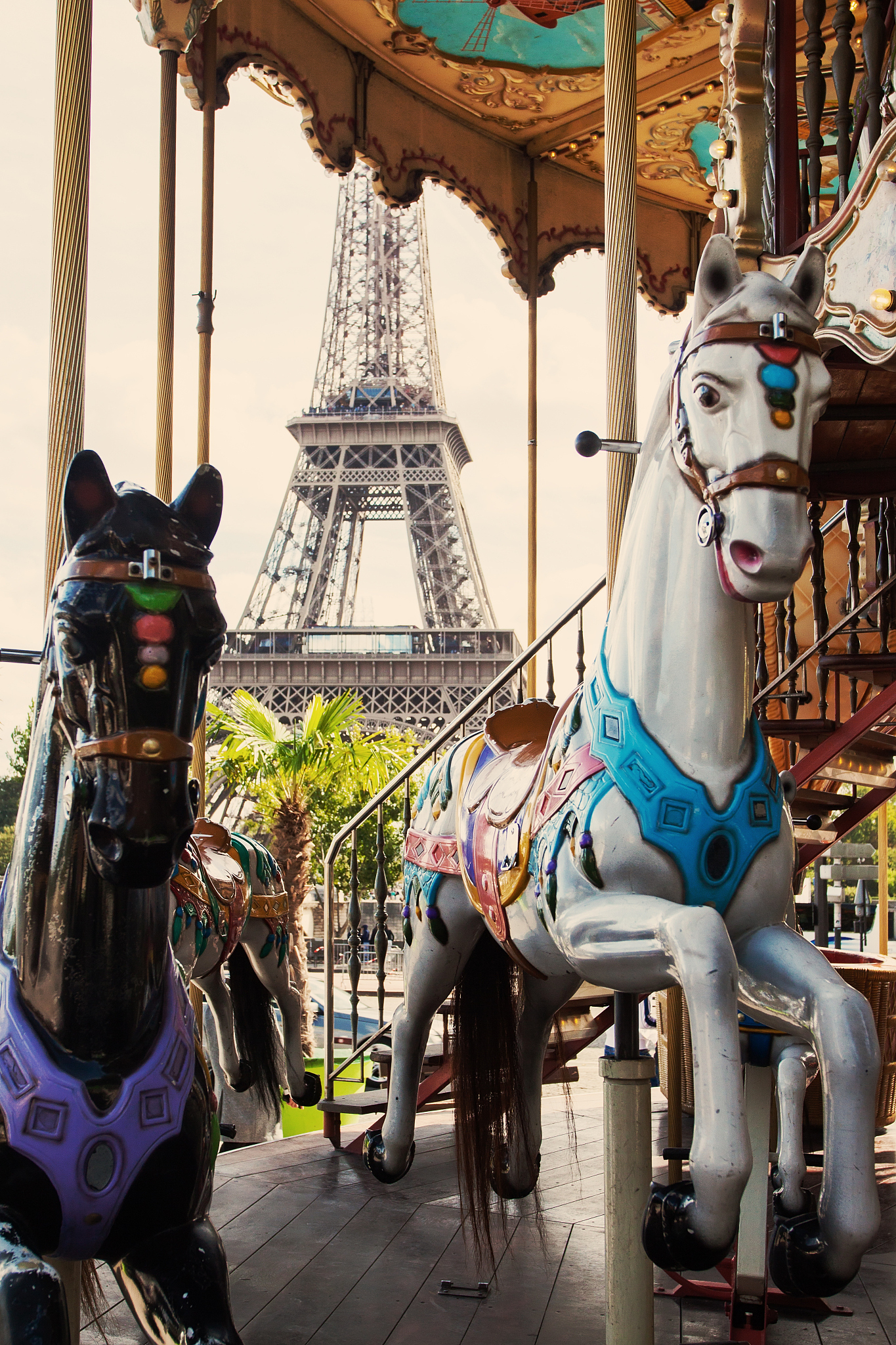 攀枝花市经贸旅游学校学前教育专业招生