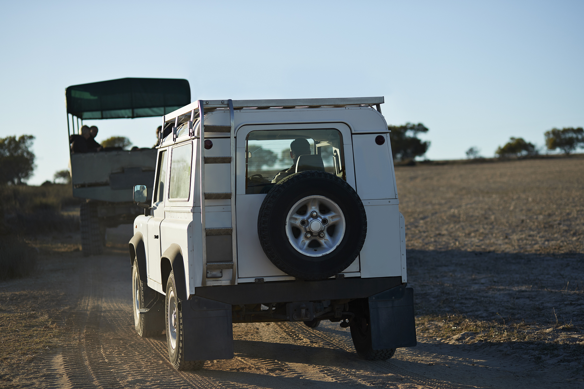 cars driving on dusty road on safari excursion