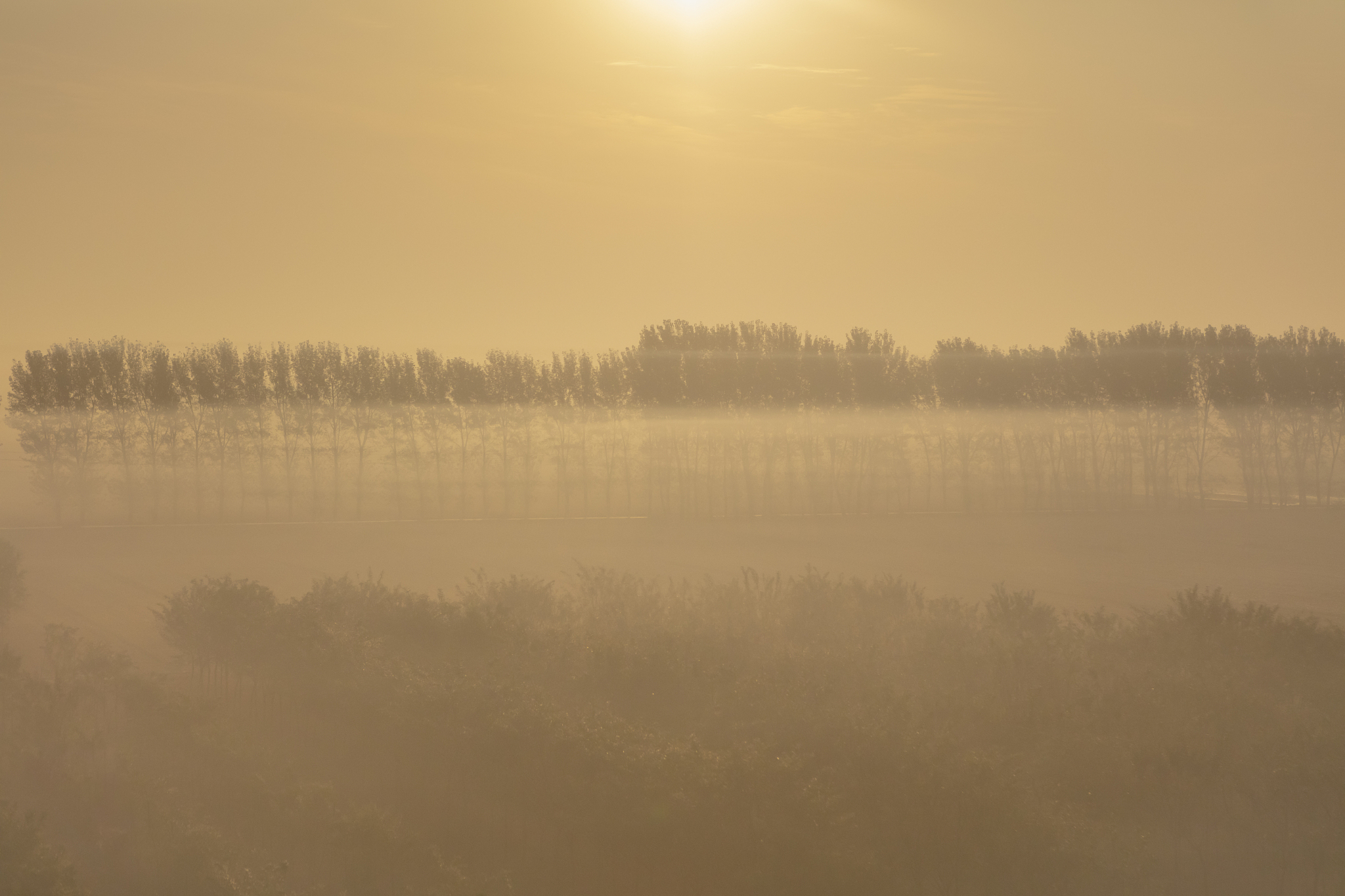 选择成都市高铁学校为自己的未来负责