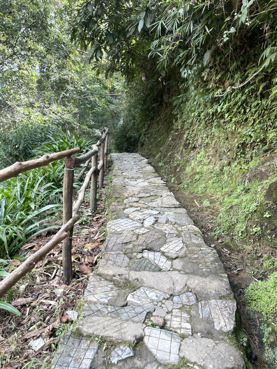 梅关古道,这个位于广东韶关的古代南北交通要道,沿途风光秀丽,是一个