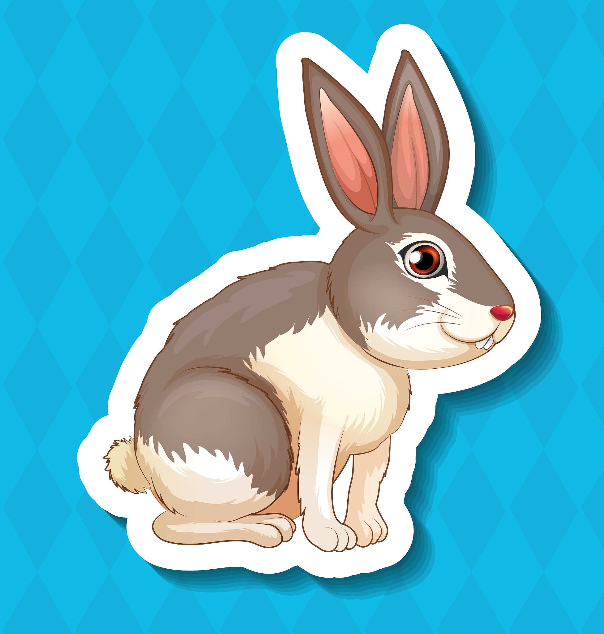 生肖兔：温和、聪明、幸福的象征