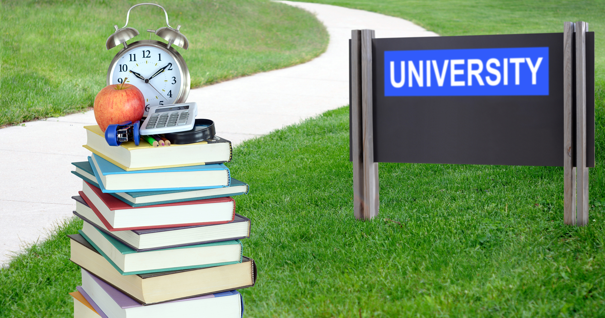 诗意校园之旅：探索知识与成长的乐园