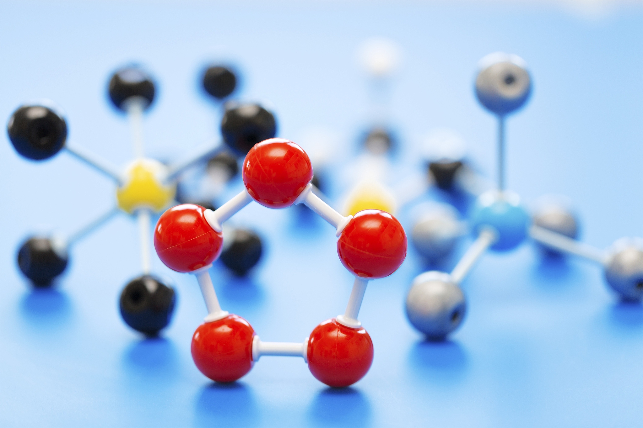 生物大分子物质：种类、结构与功能详解